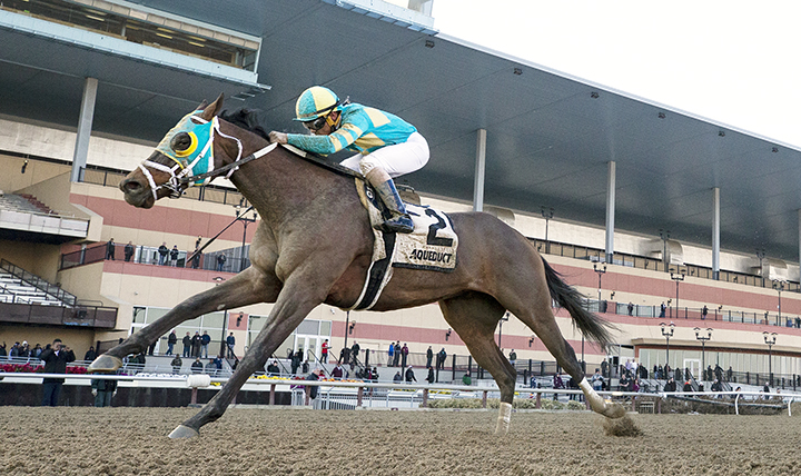 Do Share wins the 2019 Tom Fool Handicap