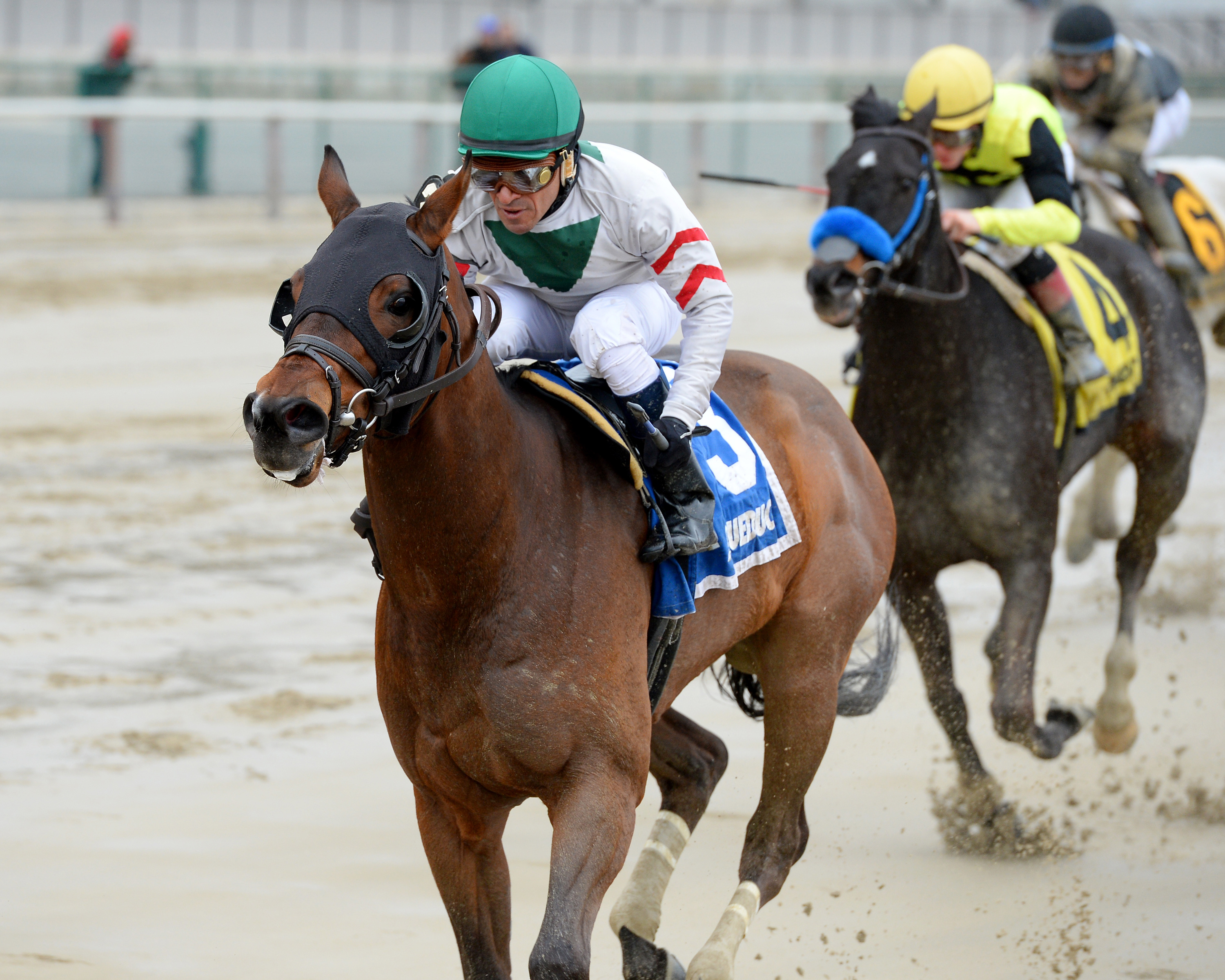 Do Share wins the Stud Muffin Stakes