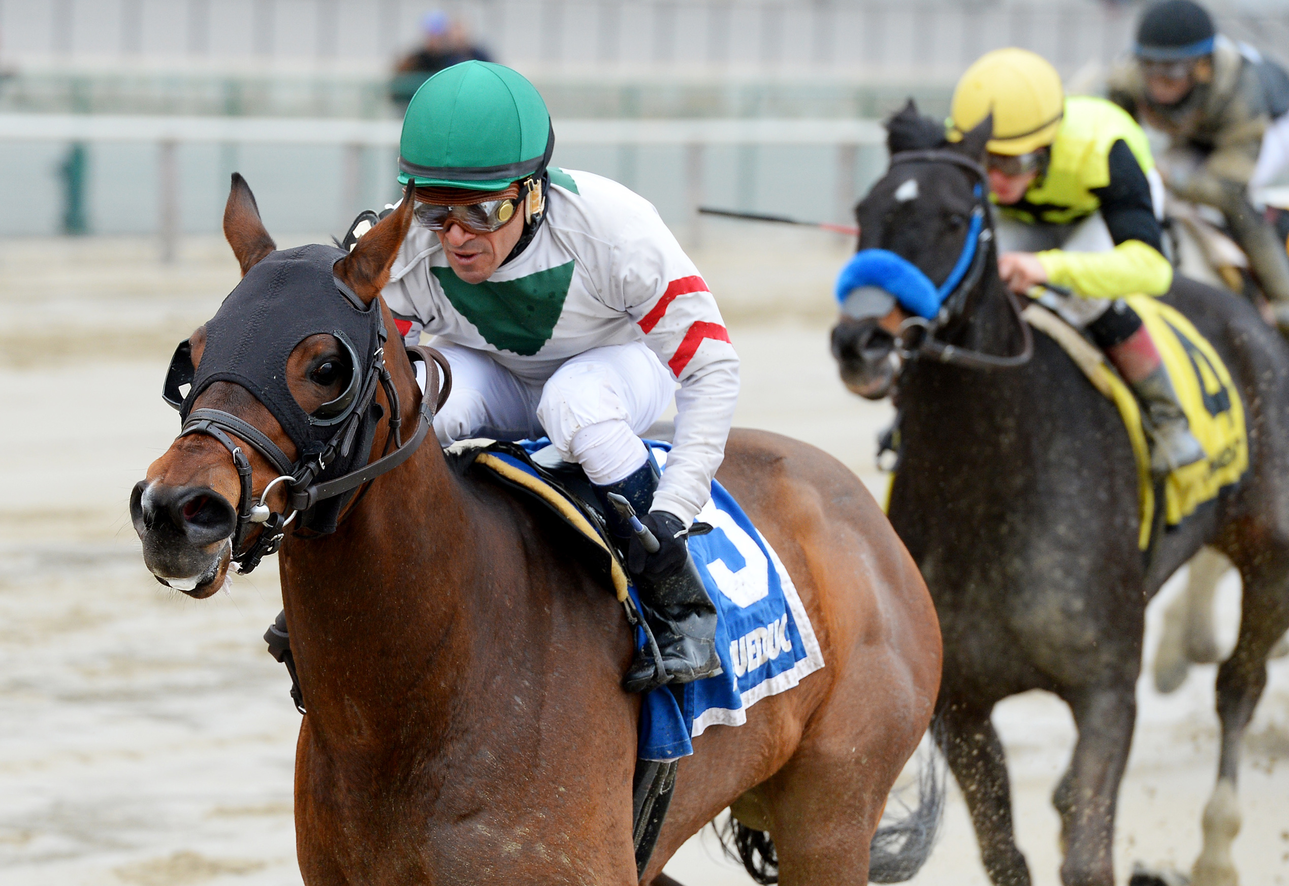 Do Share wins the 2017 Stud Muffin Stakes