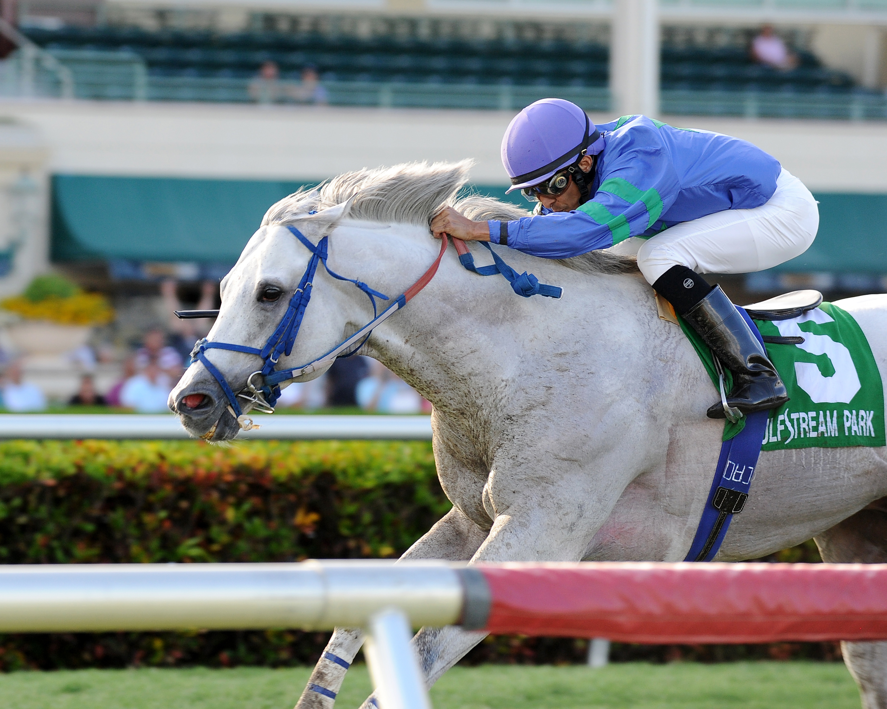 Do the Roar wins the Treasure Coast Stakes