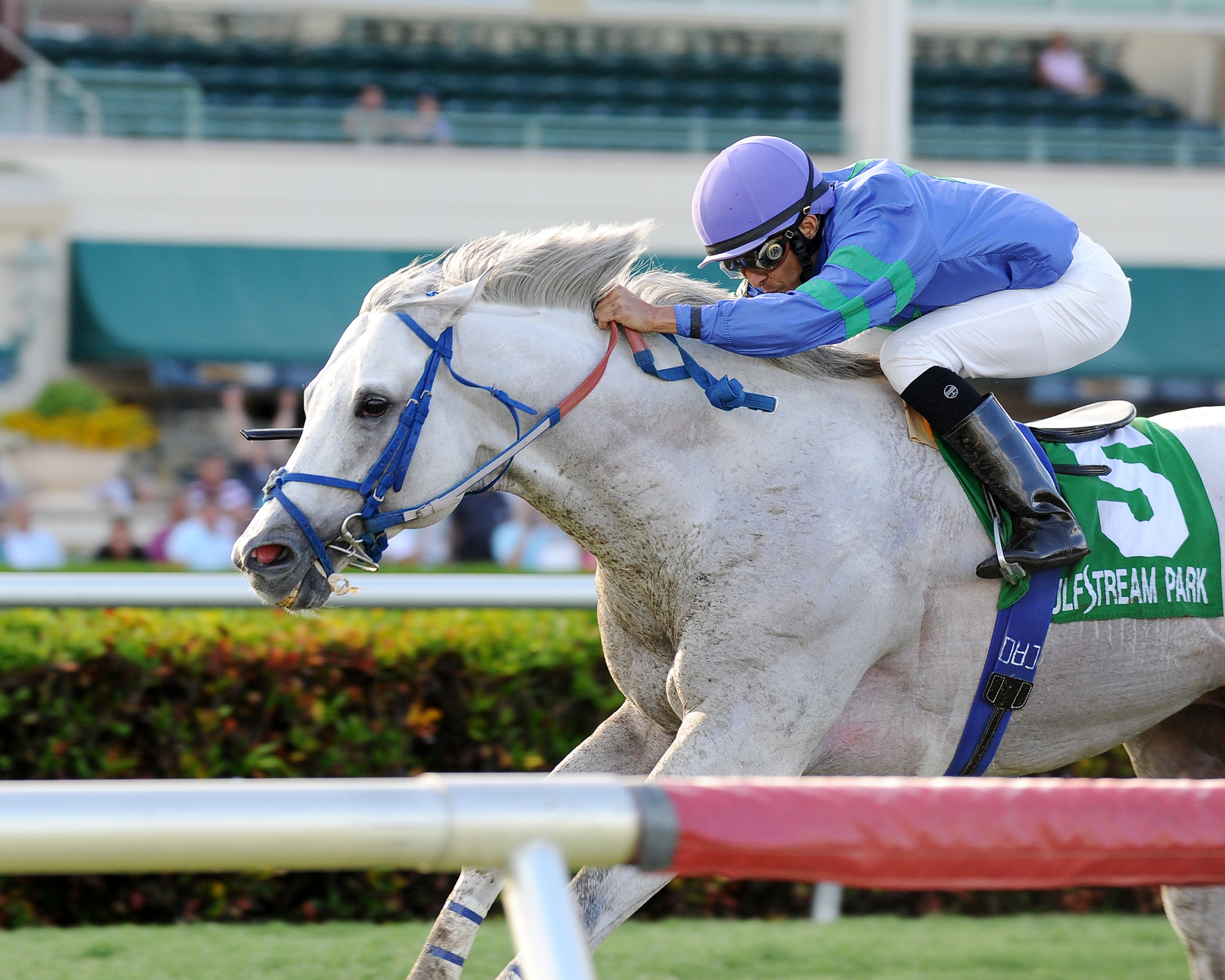 Do the Roar wins the Treasure Coast Stakes