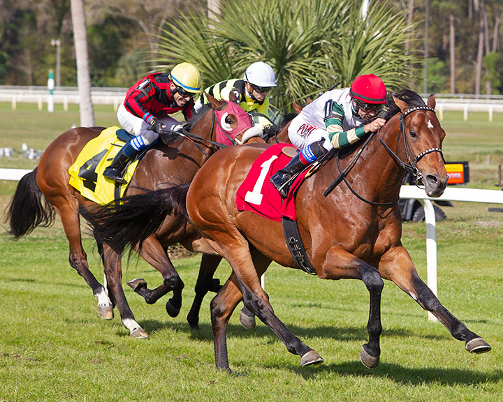 Doc Boy wins the 2020 Columbia Stakes at Tampa Bay Downs