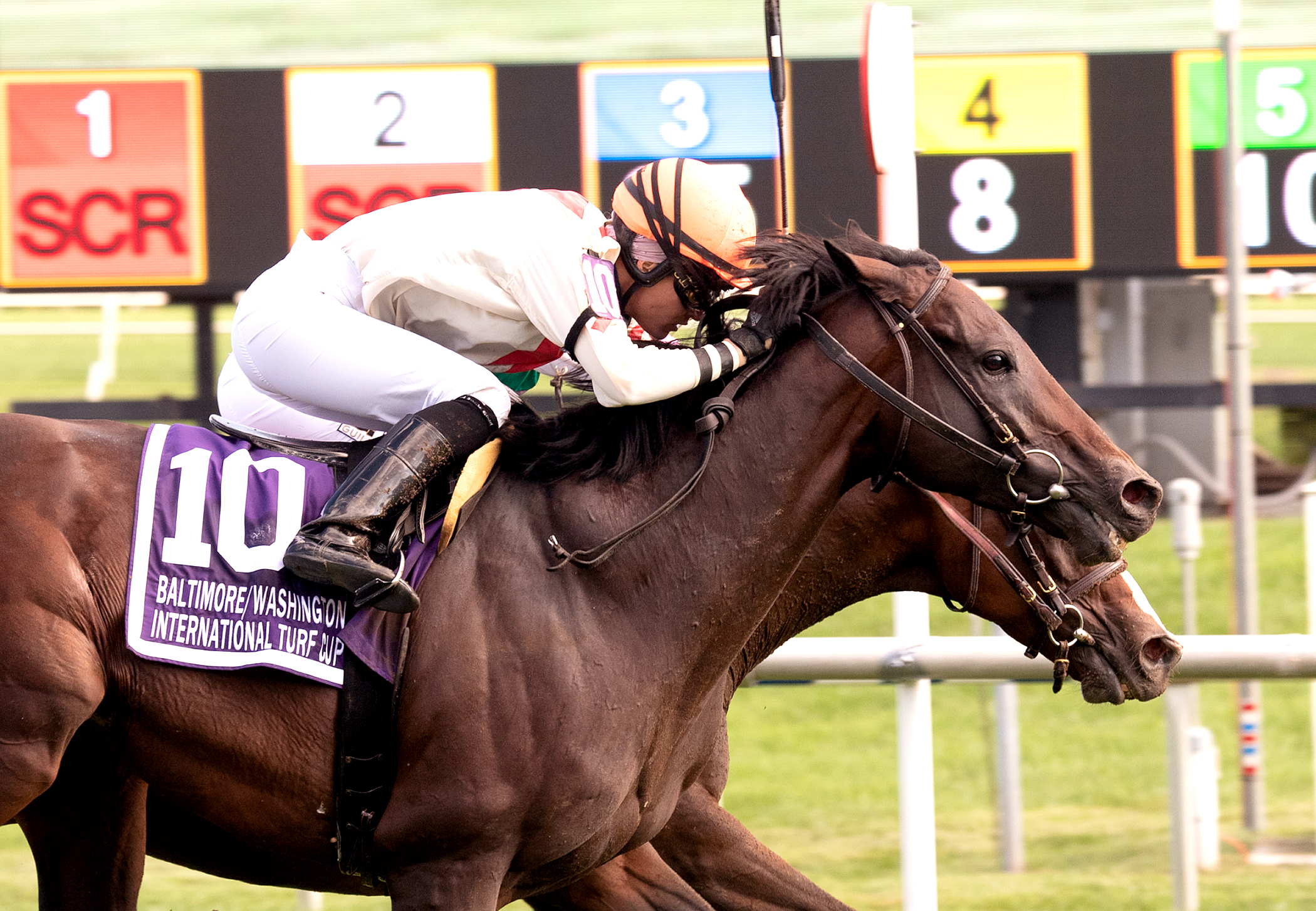 Doctor Mounty wins the 2018 Baltimore-Washington International Turf Cup