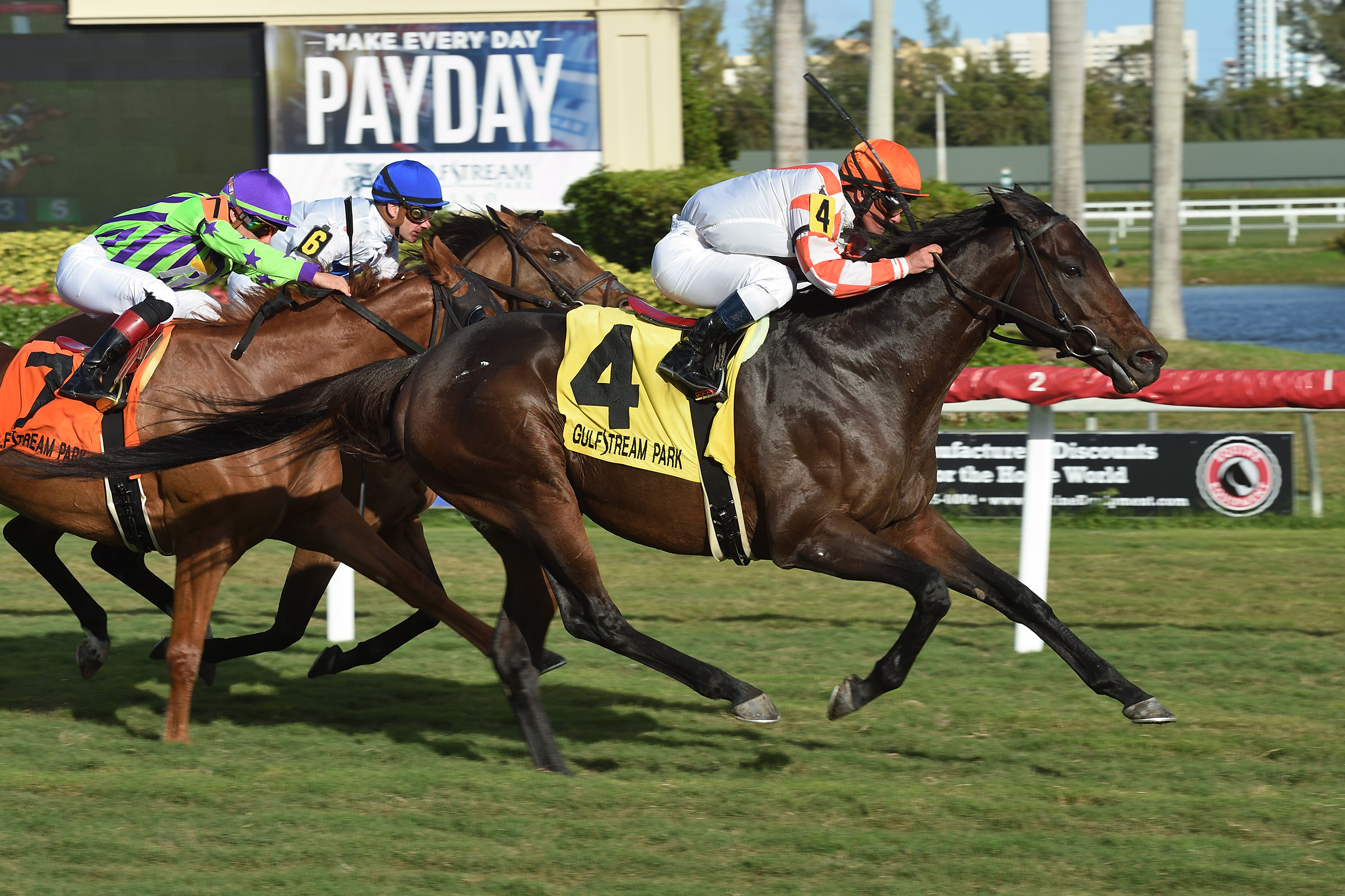 Doctor Mounty wins the 2019 Tropical Park Turf
