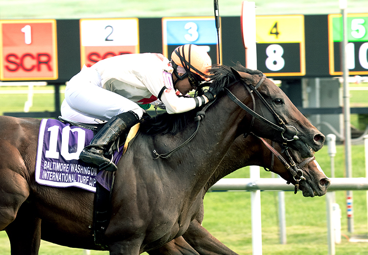 Doctor Mounty wins the Baltimore/Washington International Turf Cup