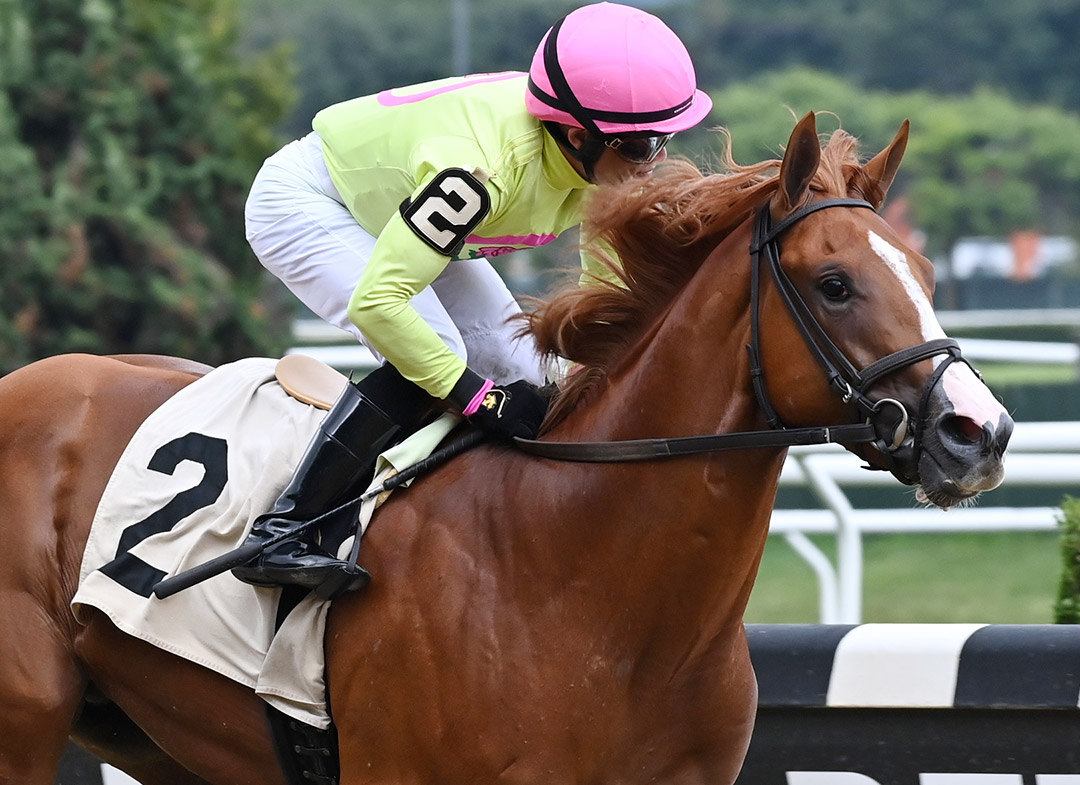 Doctor Jeff wins a July 10 maiden race at Belmont Park