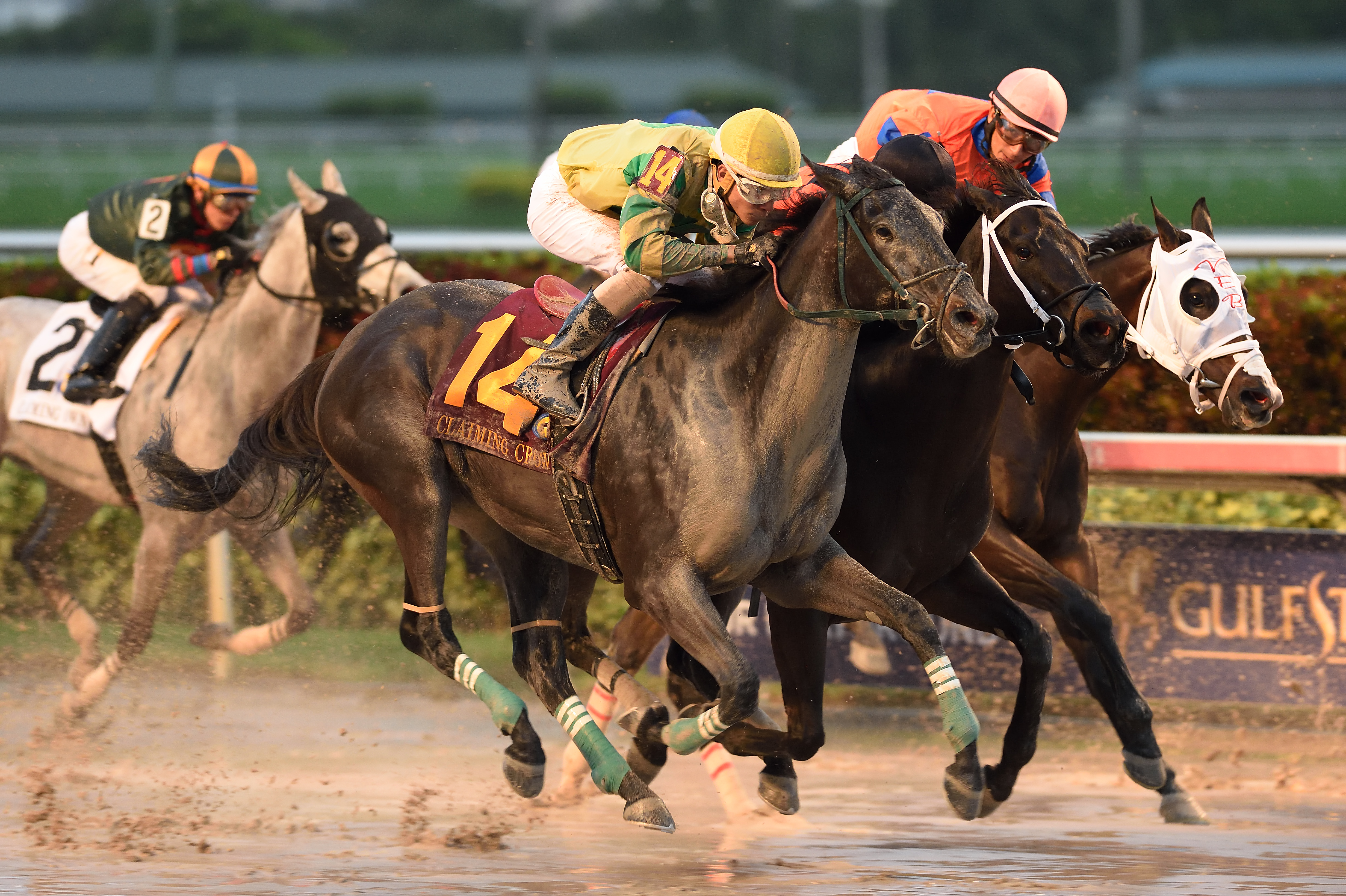 Doddsprivatelabel wins 2015 Claiming Crown Express