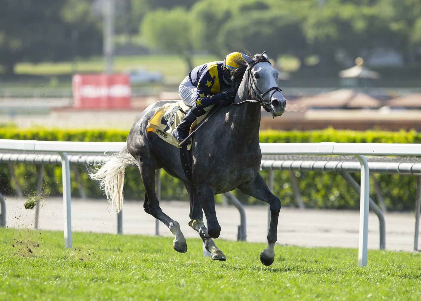 Dogtag wins the Possibly Perfect at Santa Anita 6-14-2020