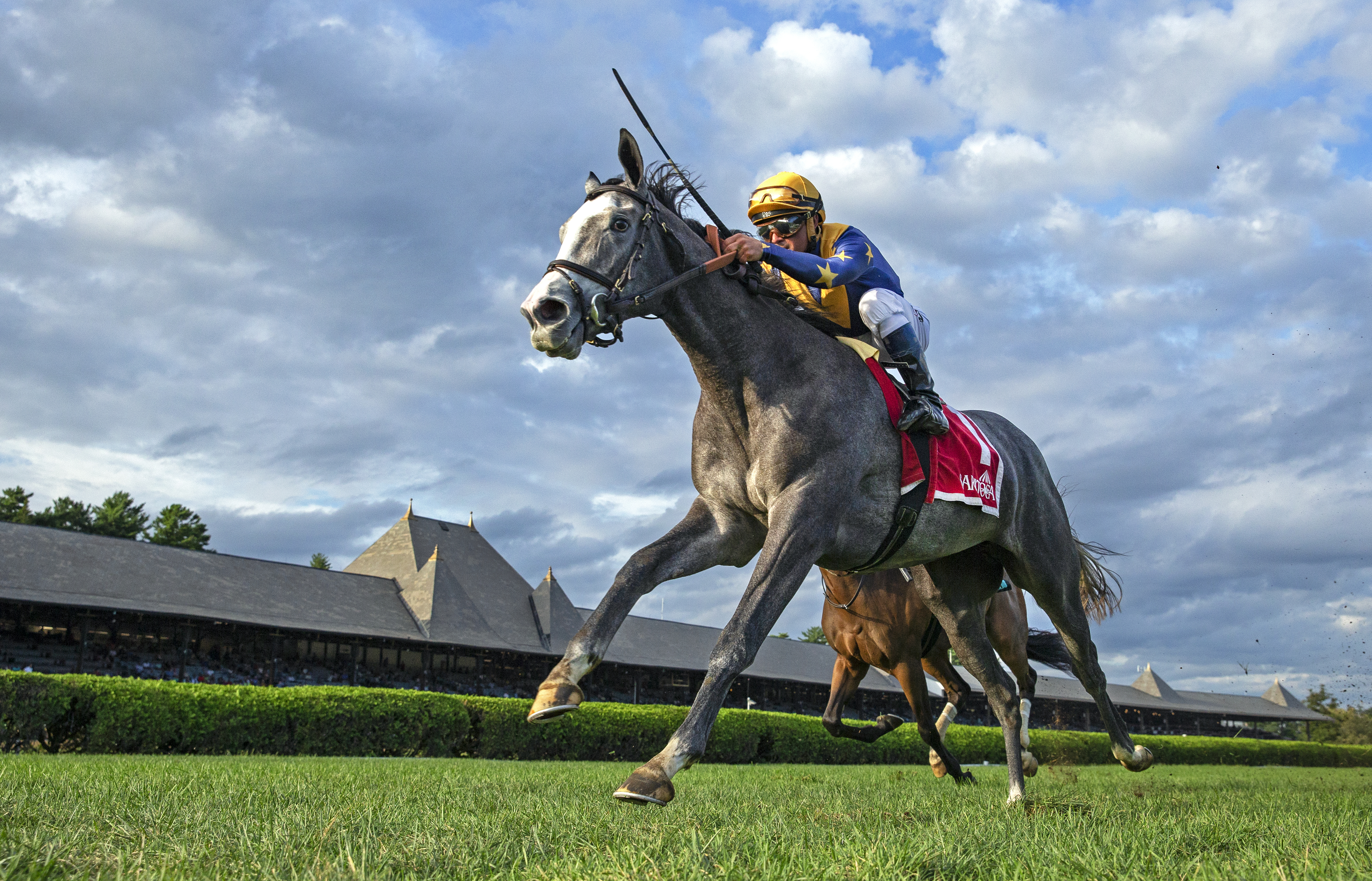 Dogtag wins the 2018 P.G. Johnson Stakes