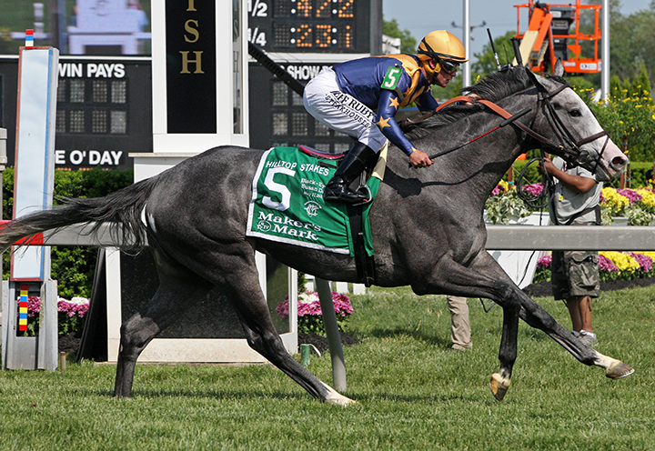 Dogtag wins the 2019 Hilltop