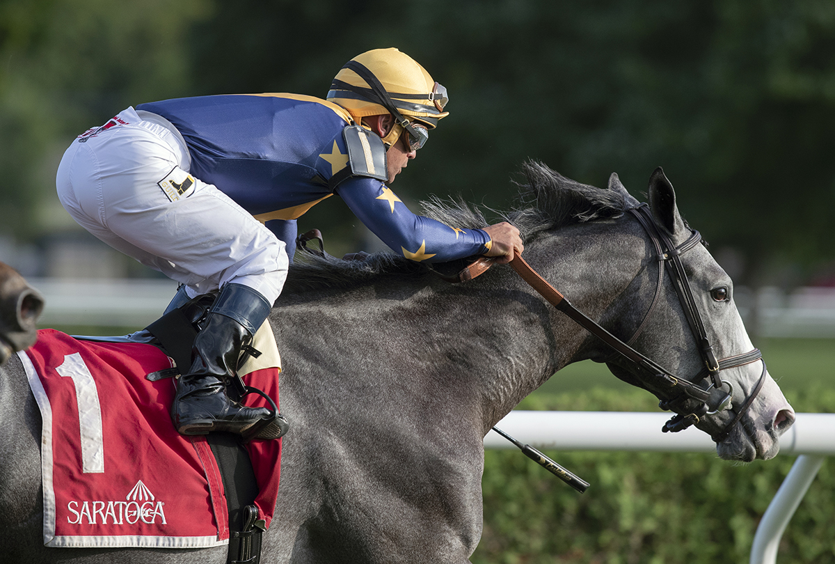 Dogtag wins the P. G. Johnson Stakes