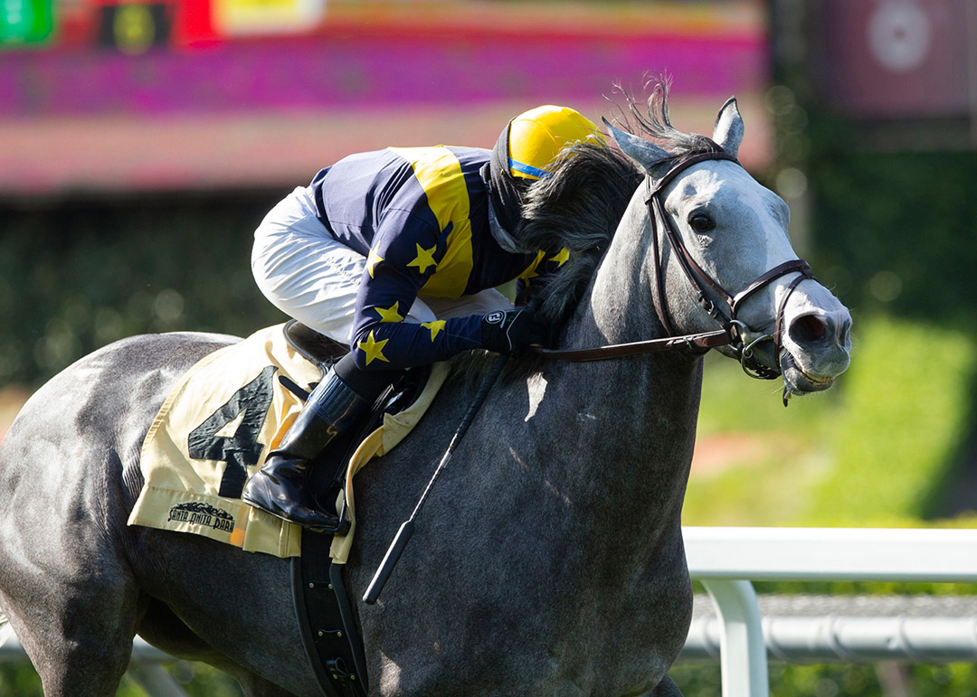 Dogtag wins the 2020 Possibly Perfect Stakes at Santa Anita