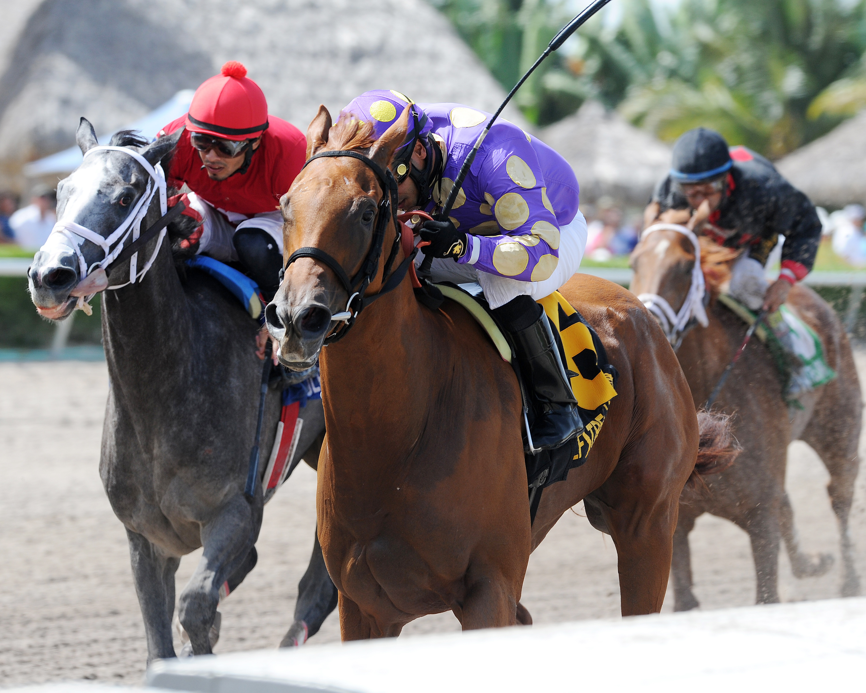 Dogwood Trail wins the Azalea