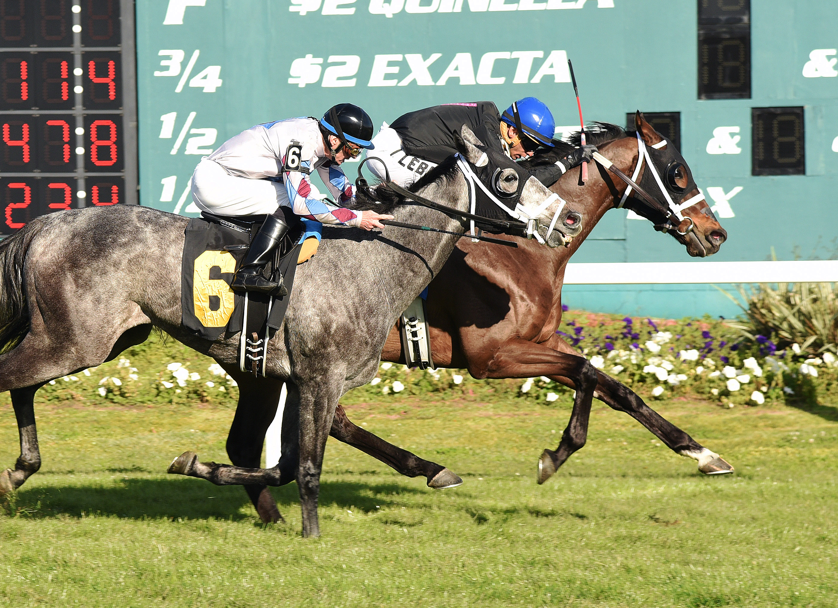 Tampa Bay: Doimakeyahappy is the one to catch in turf mile