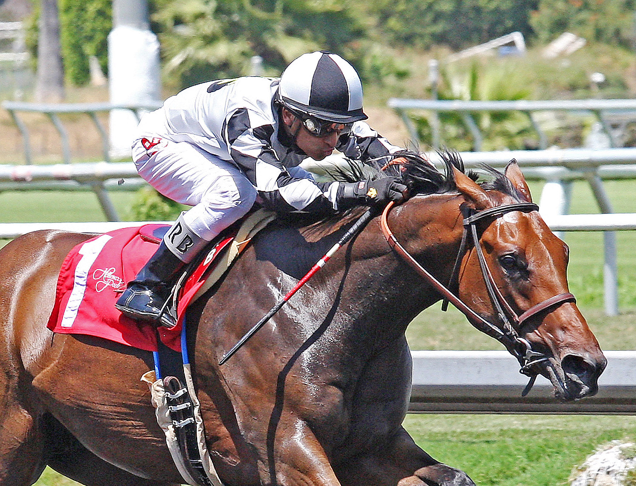 Doinghardtimeagain wins the Hollywood Oaks