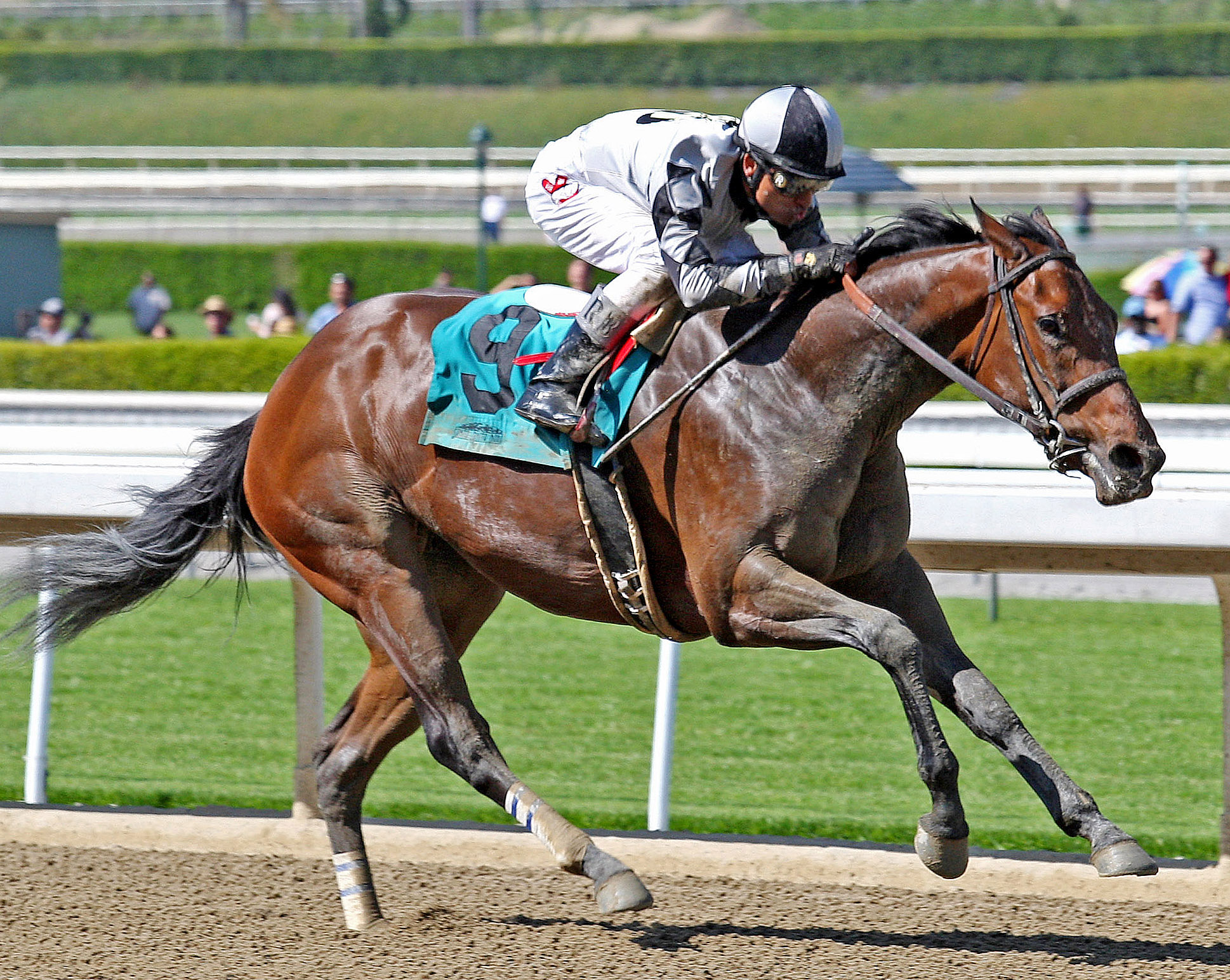 Doinghardtimeagain/Evening Jewel Stakes