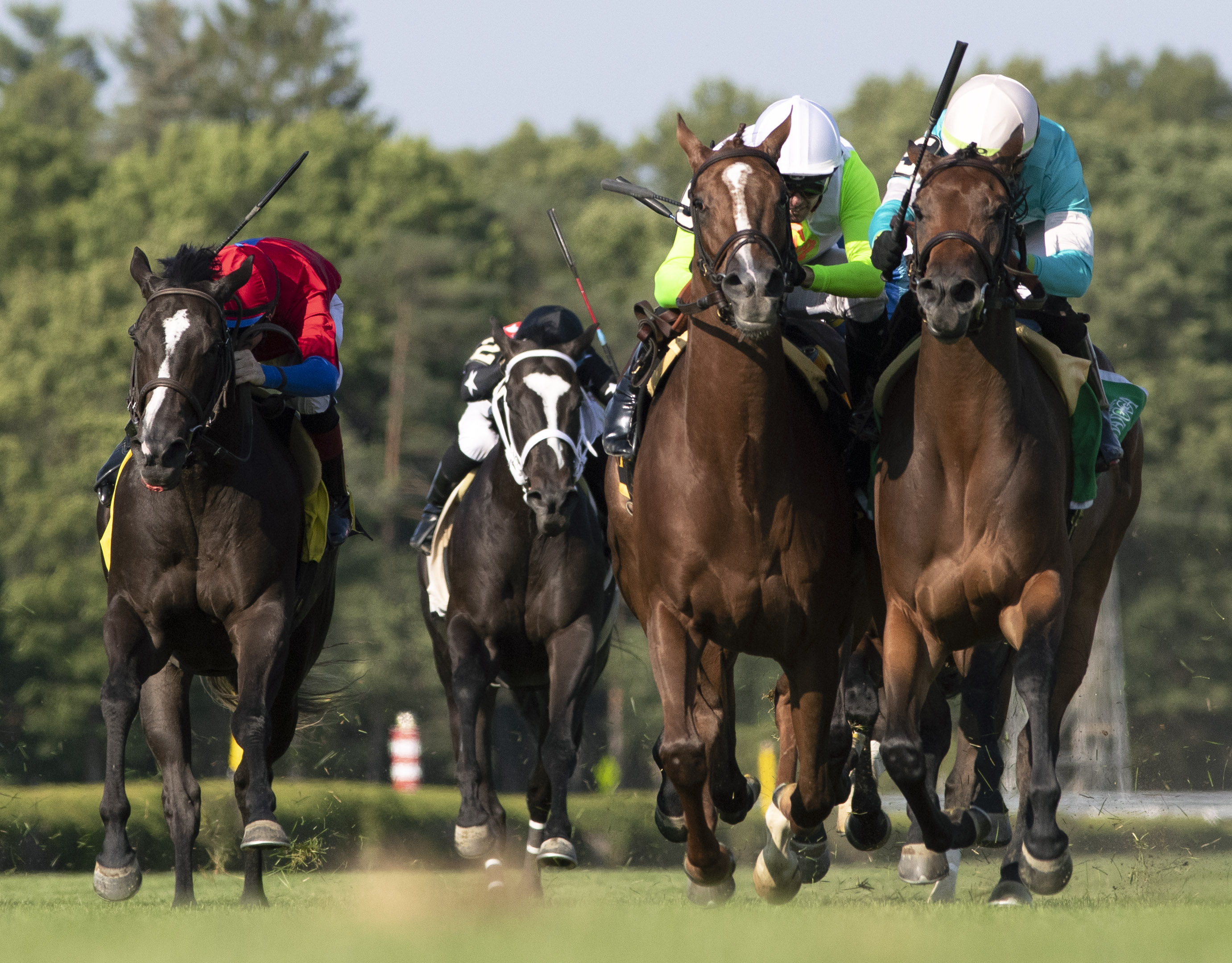 Dolce Zel (right) edges stablemate Eminent Victor in the Lake George on July 22 2022