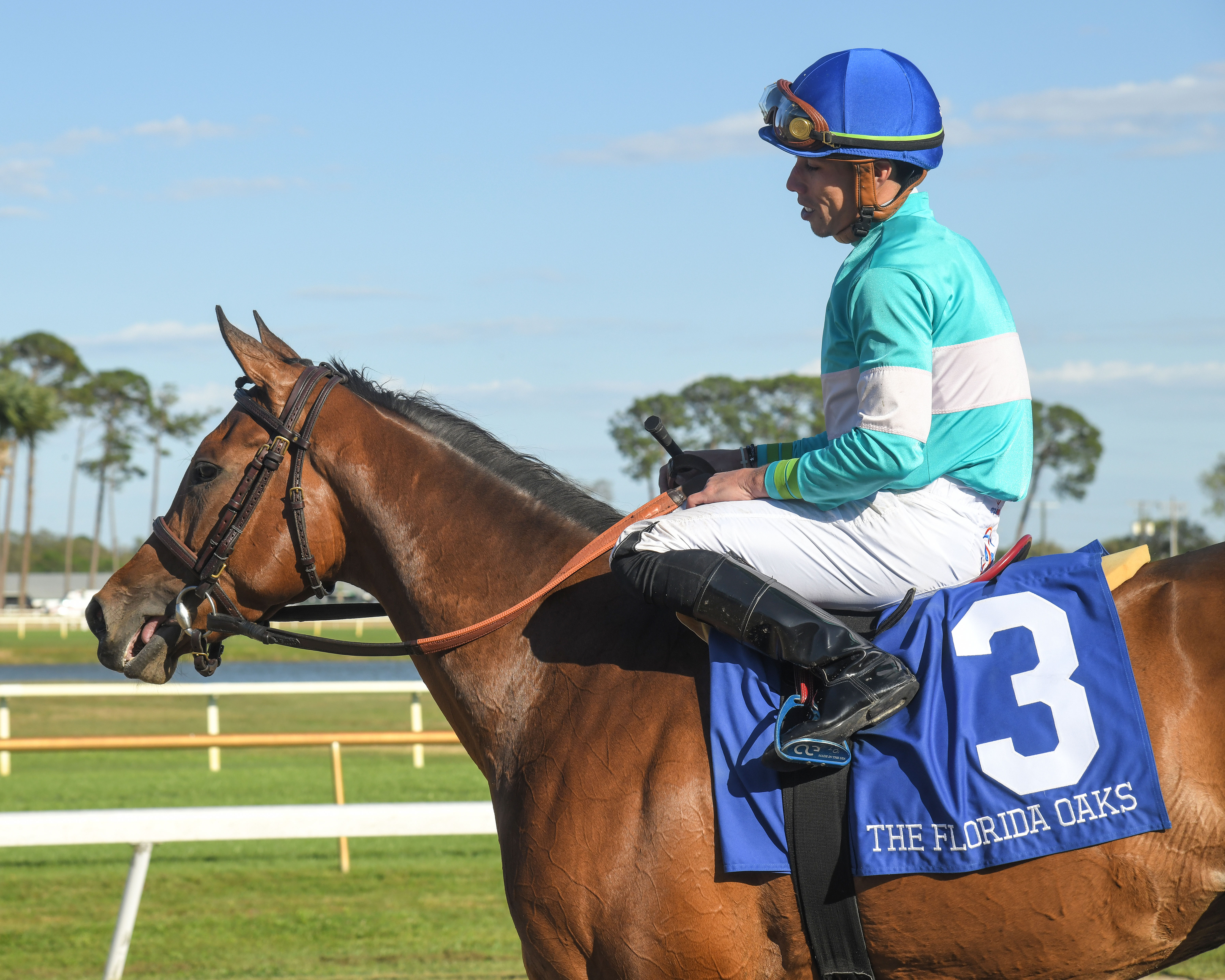 Dolce Zel - Florida Oaks 2022