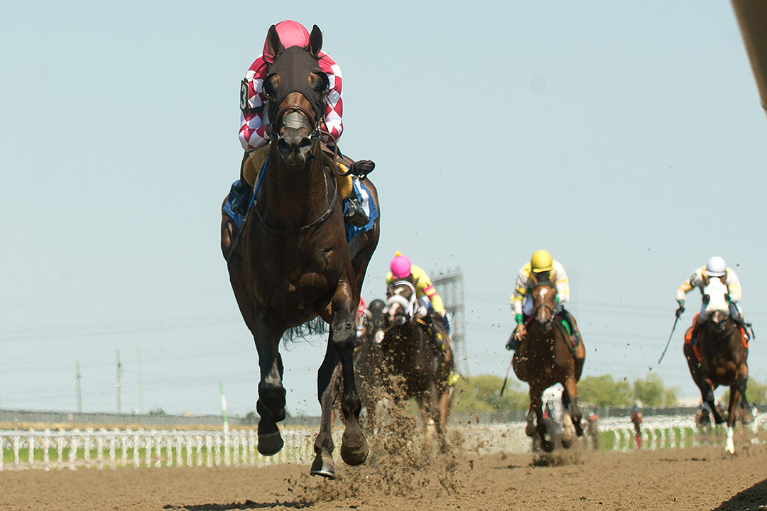Dolder Grand wins a July 4 maiden race at Woodbine