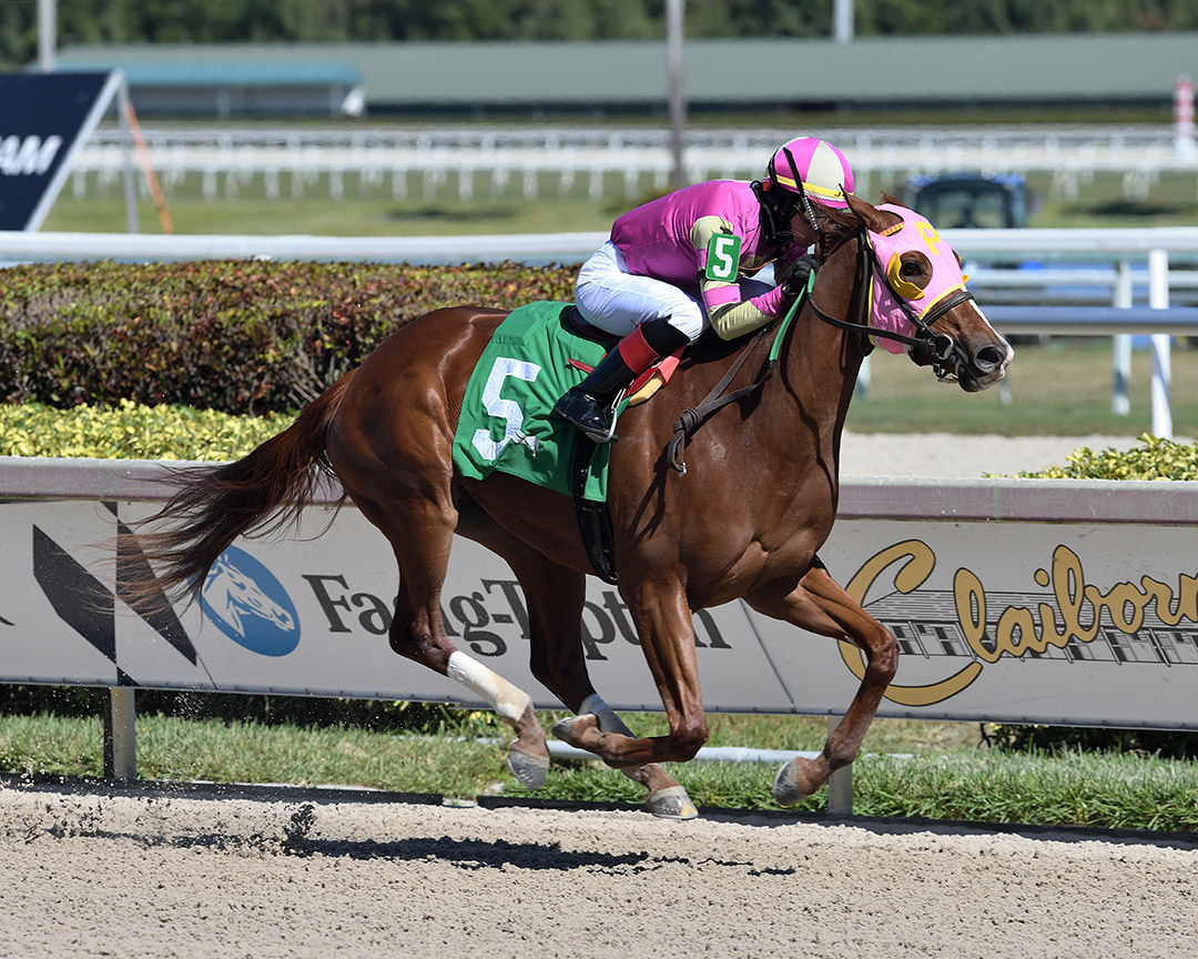 Doll Baby wins a Jan. 30 maiden race at Gulfstream Park