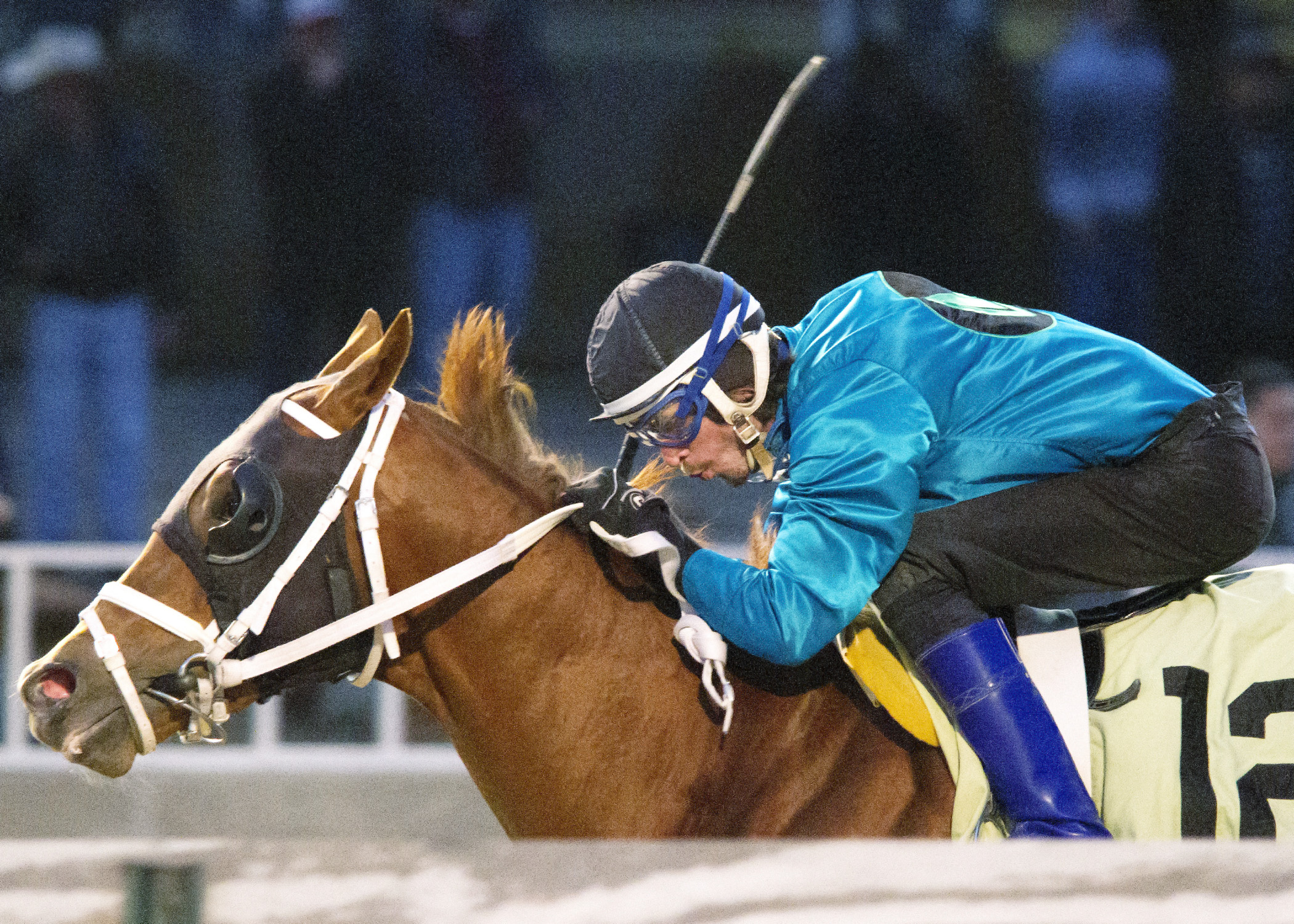 Dom the Bomb wins the 2014 Jim Edgar Illinois Futurity