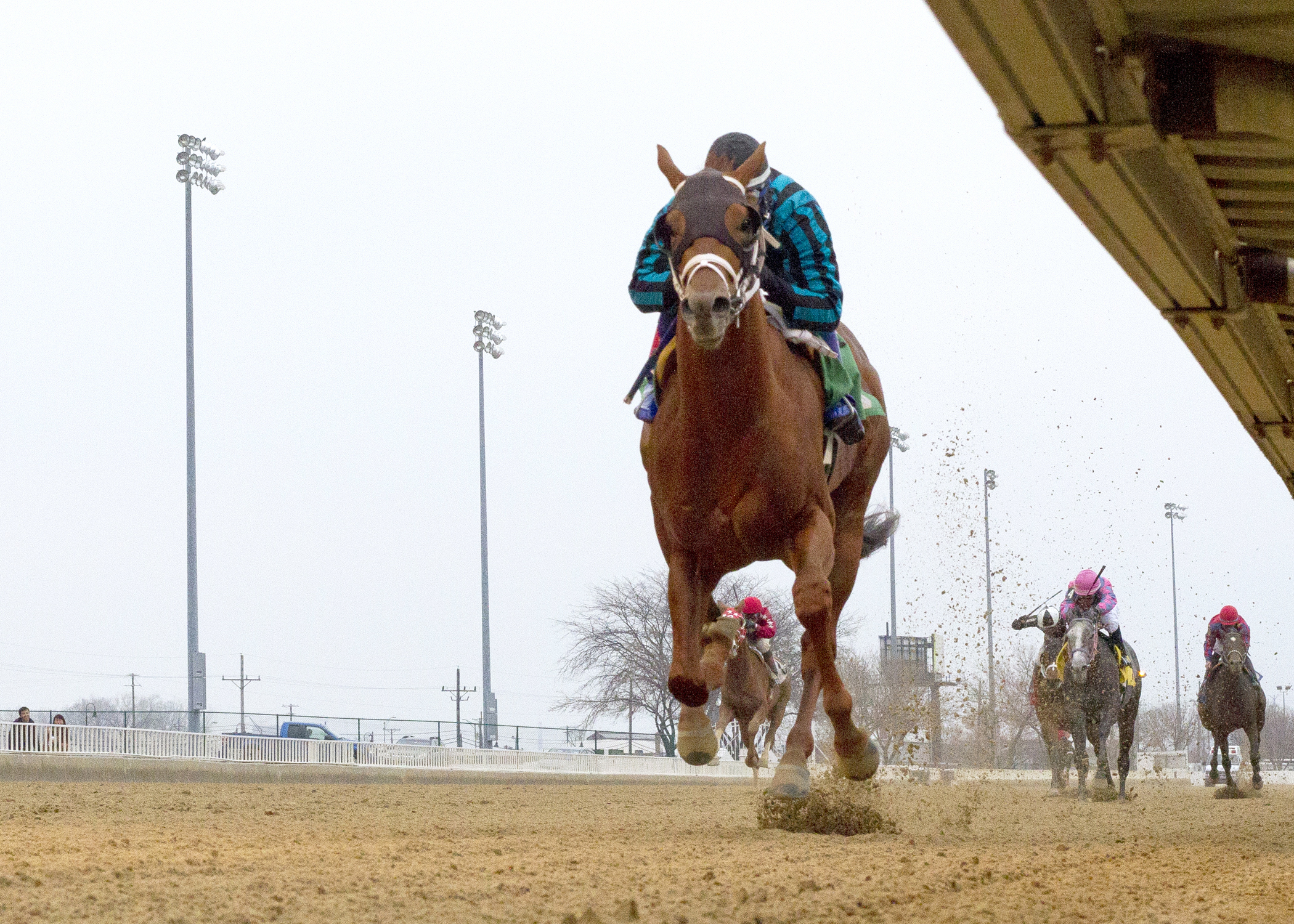 Dom the Bomb wins the Sun Power Stakes