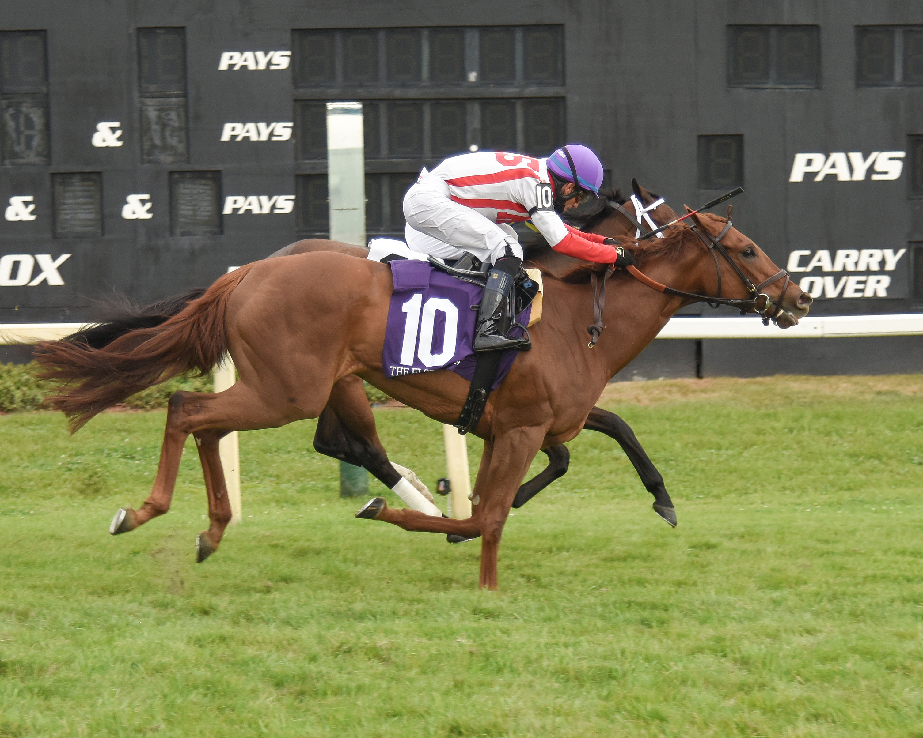 Domain Expertise (No. 10) beats Jouster in the Florida Oaks.3-6-20-21