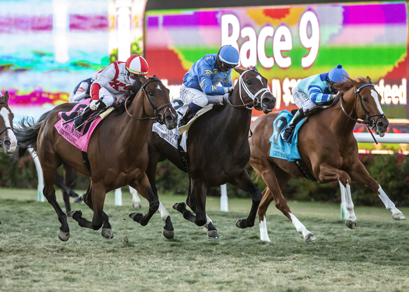 Domestic Spending wins Hollywood Derby 11-28-2020