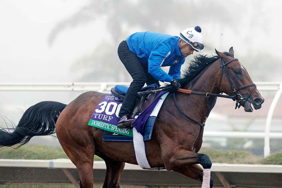 Domestic Spending trains at Del Mar on Nov. 3