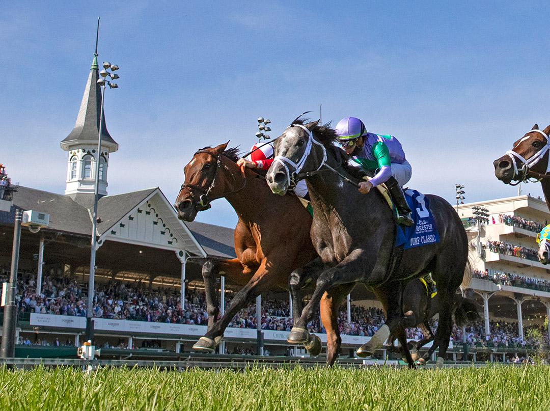 Domestic Spending (left) and Colonel Liam dead heat in the Turf Classic at Churchill Downs
