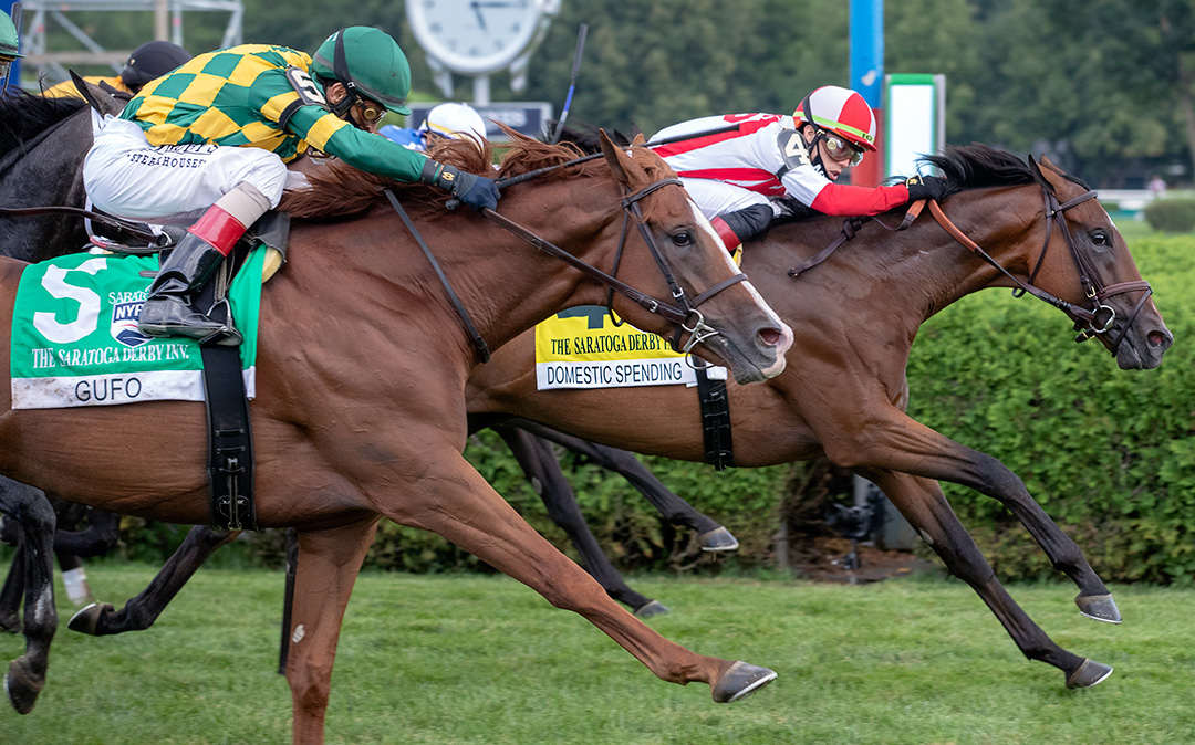Gufo finishes second to Domestic Spending in the 2020 Saratoga Derby at Saratoga Race Course
