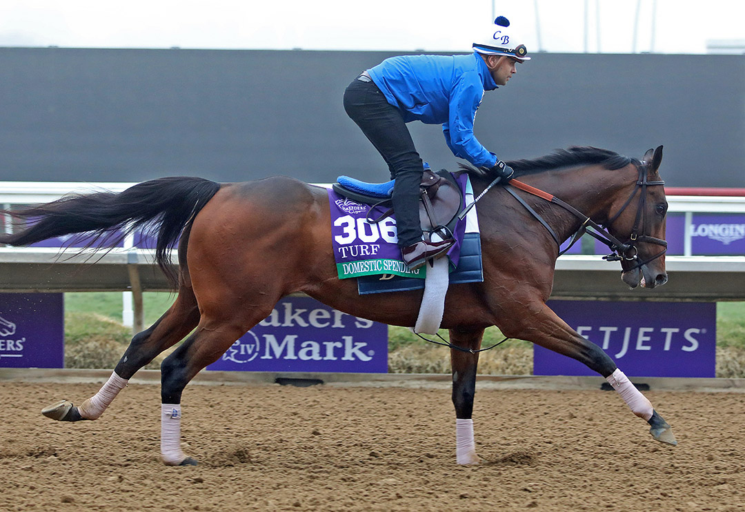 Domestic Spending trains at Del Mar on Nov. 3