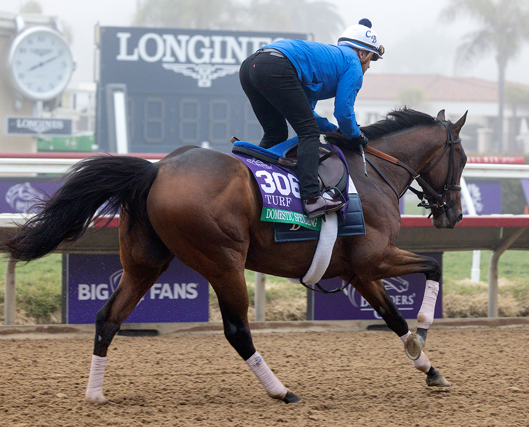 Domestic Spending trains at Del Mar on Nov. 3