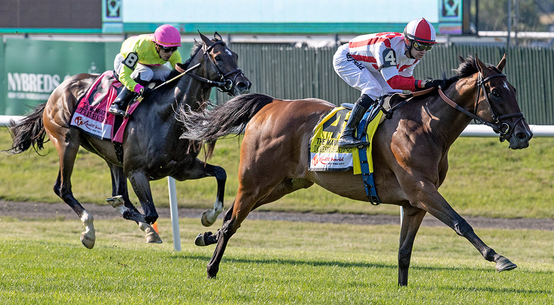 Domestic Spending wins the 2021 Manhattan Stakes at Belmont Park