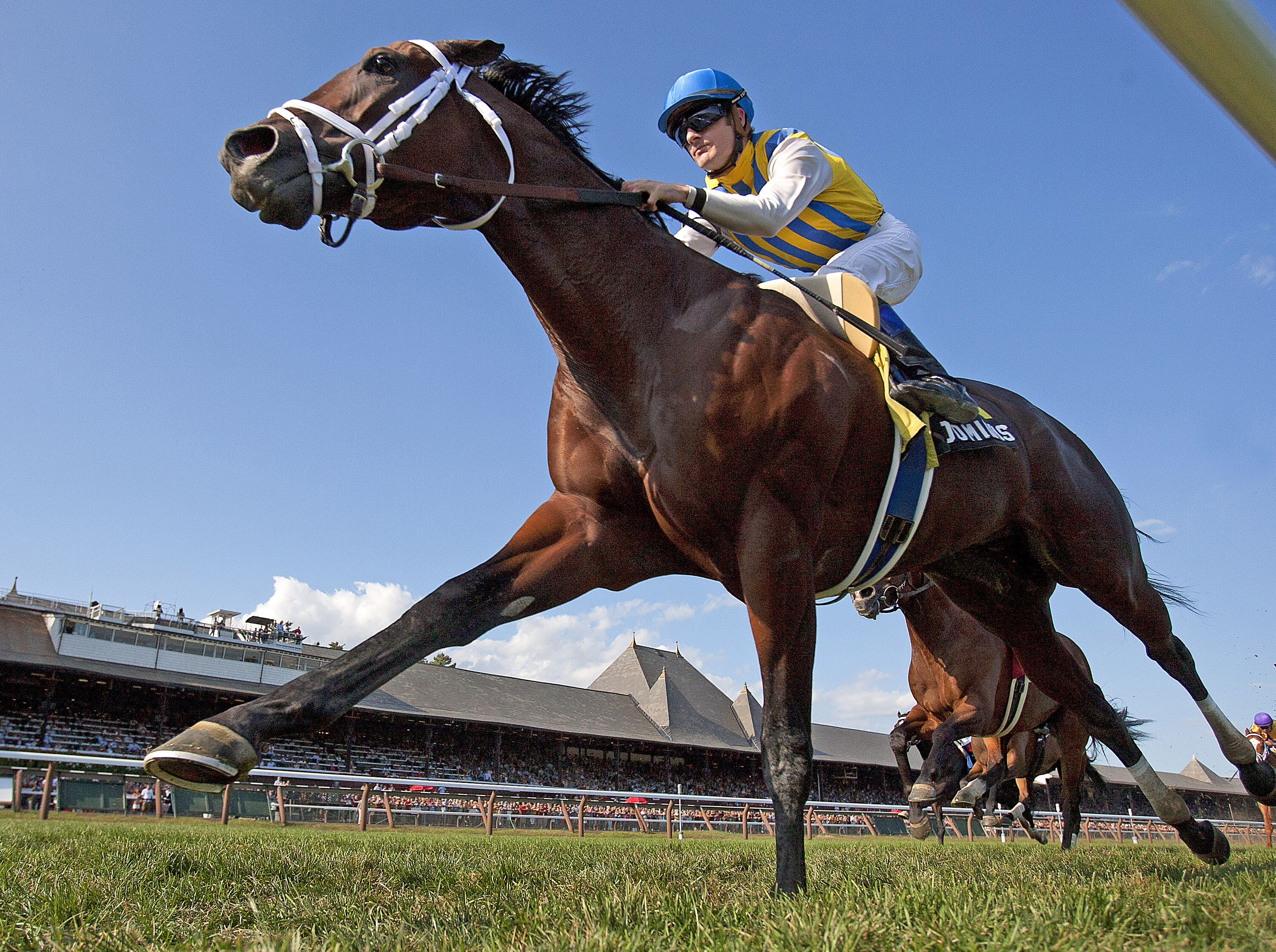 Dominus, Bernard Baruch Handicap
