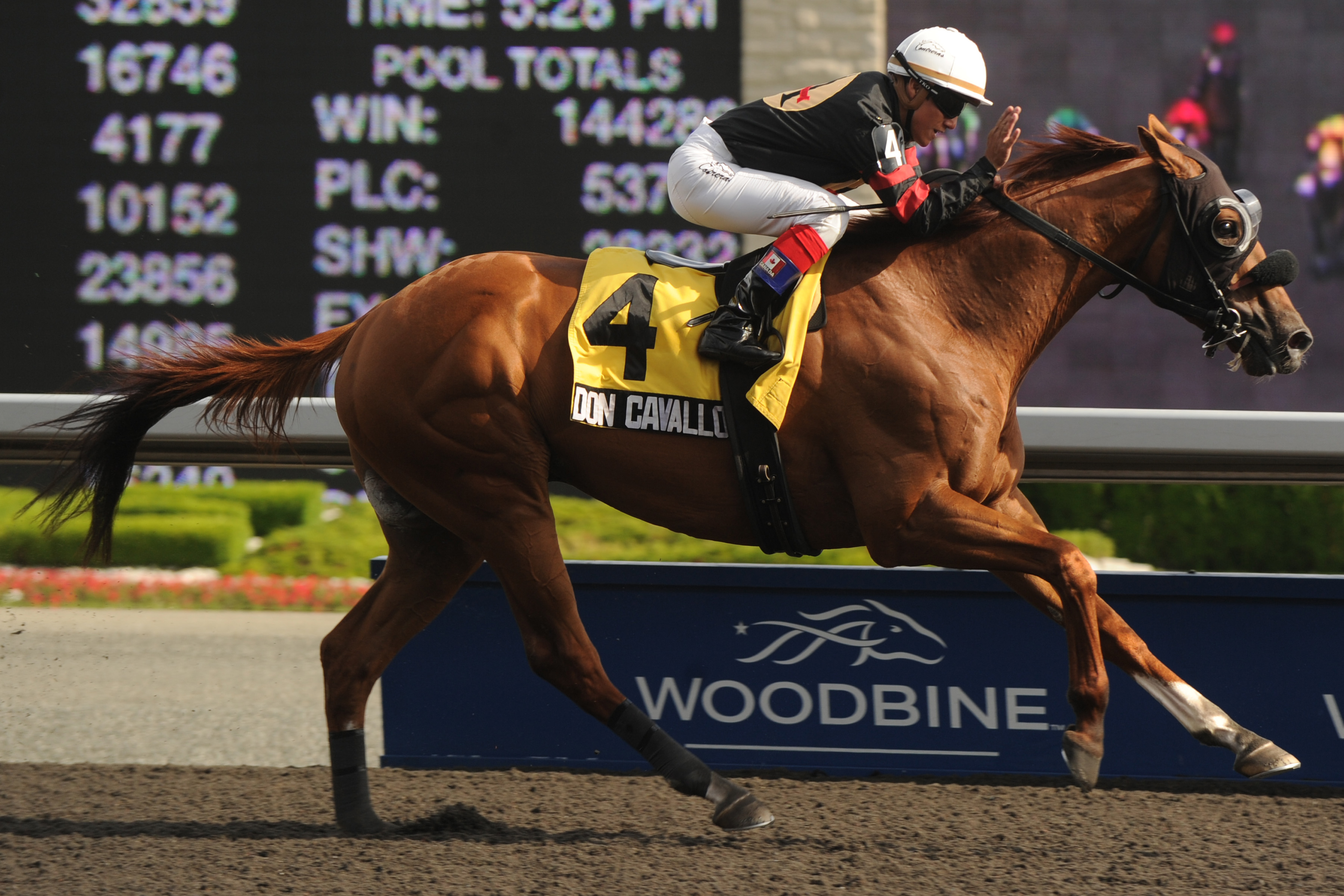 Don Cavallo/Dominion Day
