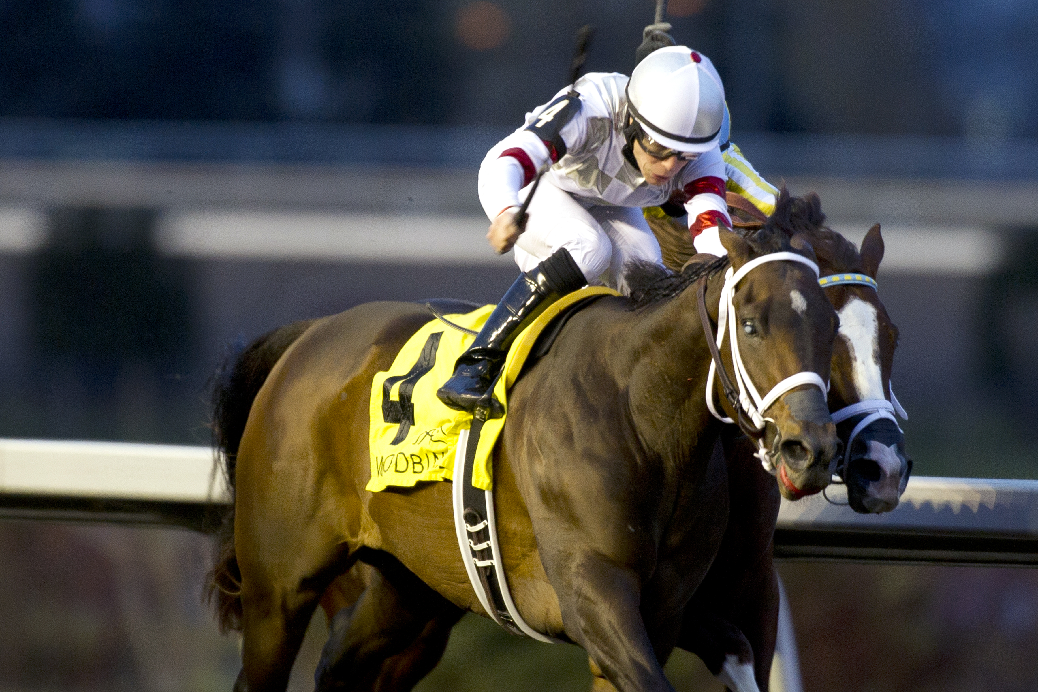Don't Be So Salty wins the Display Stakes