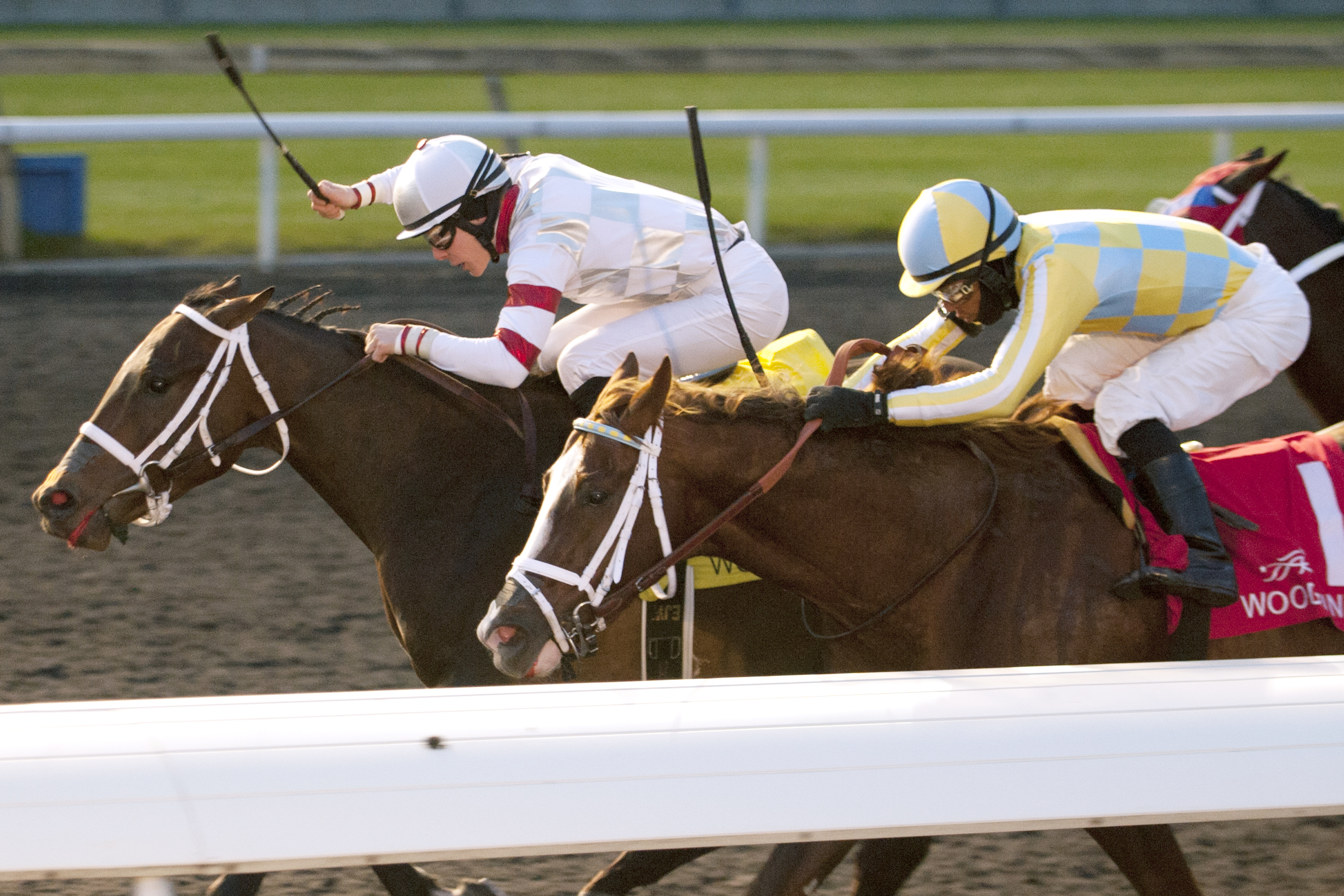 Don't Be So Salty wins the Display Stakes