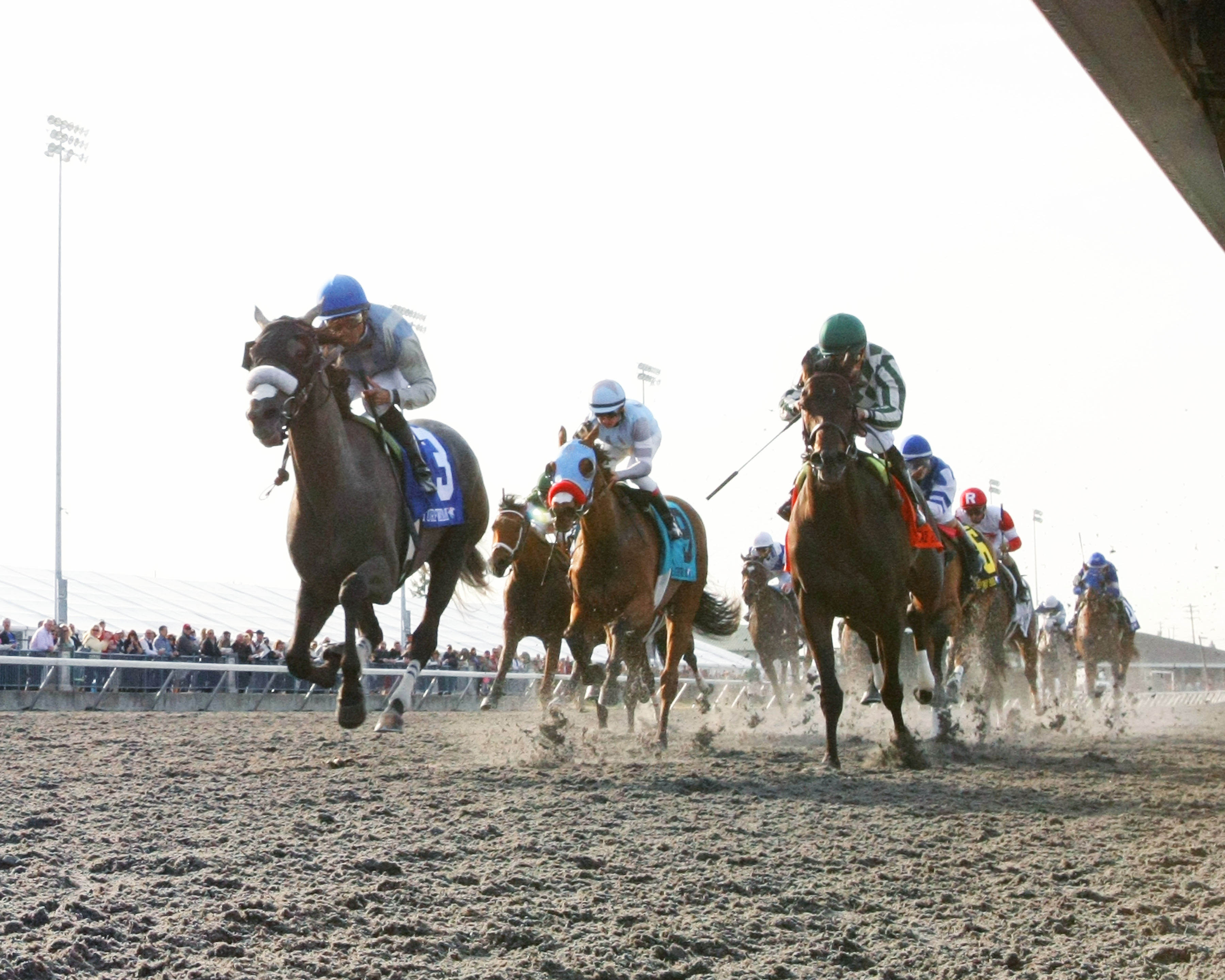 Don't Leave Me wins 2015 Bourbonette Oaks