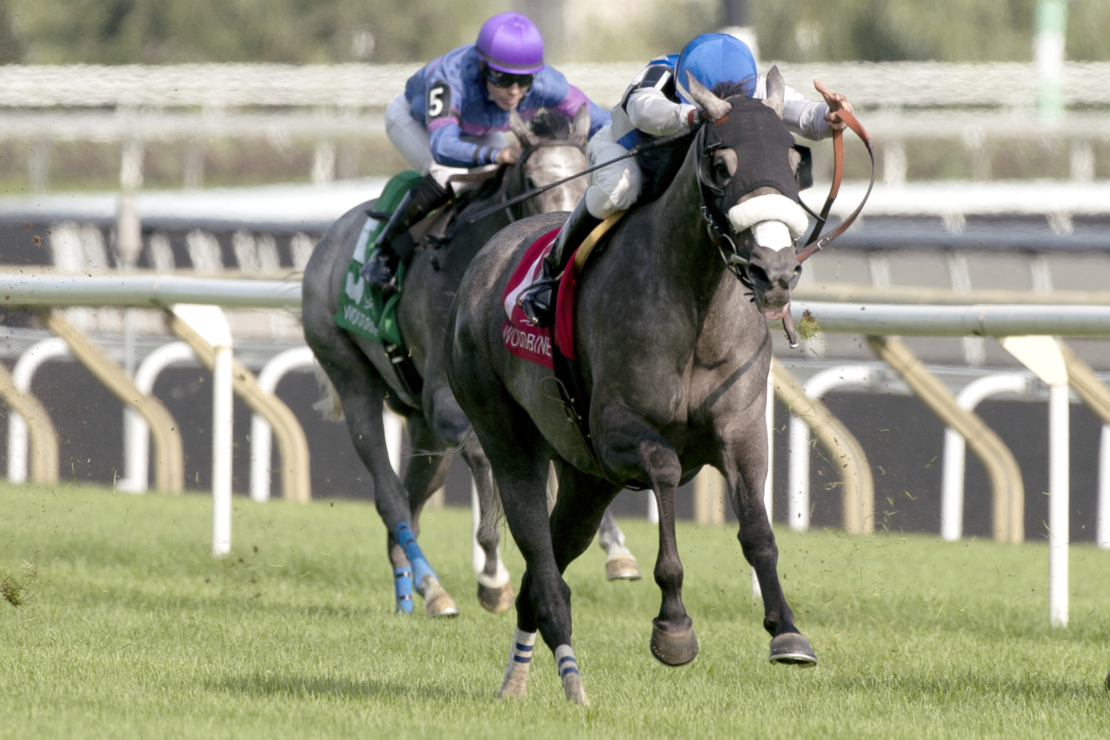 Don't Leave Me wins the Ontario Colleen Stakes