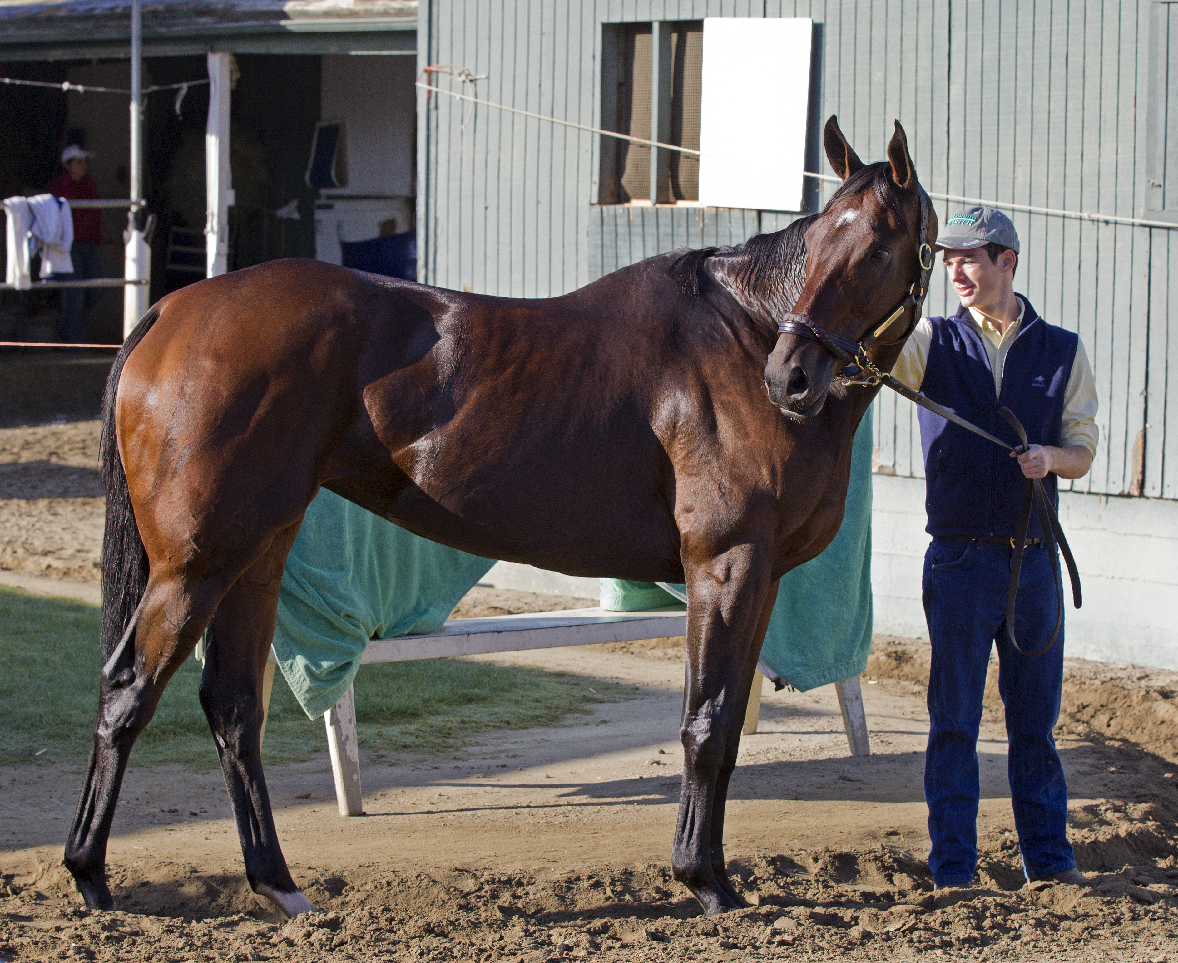 Don't Tell Sophia
