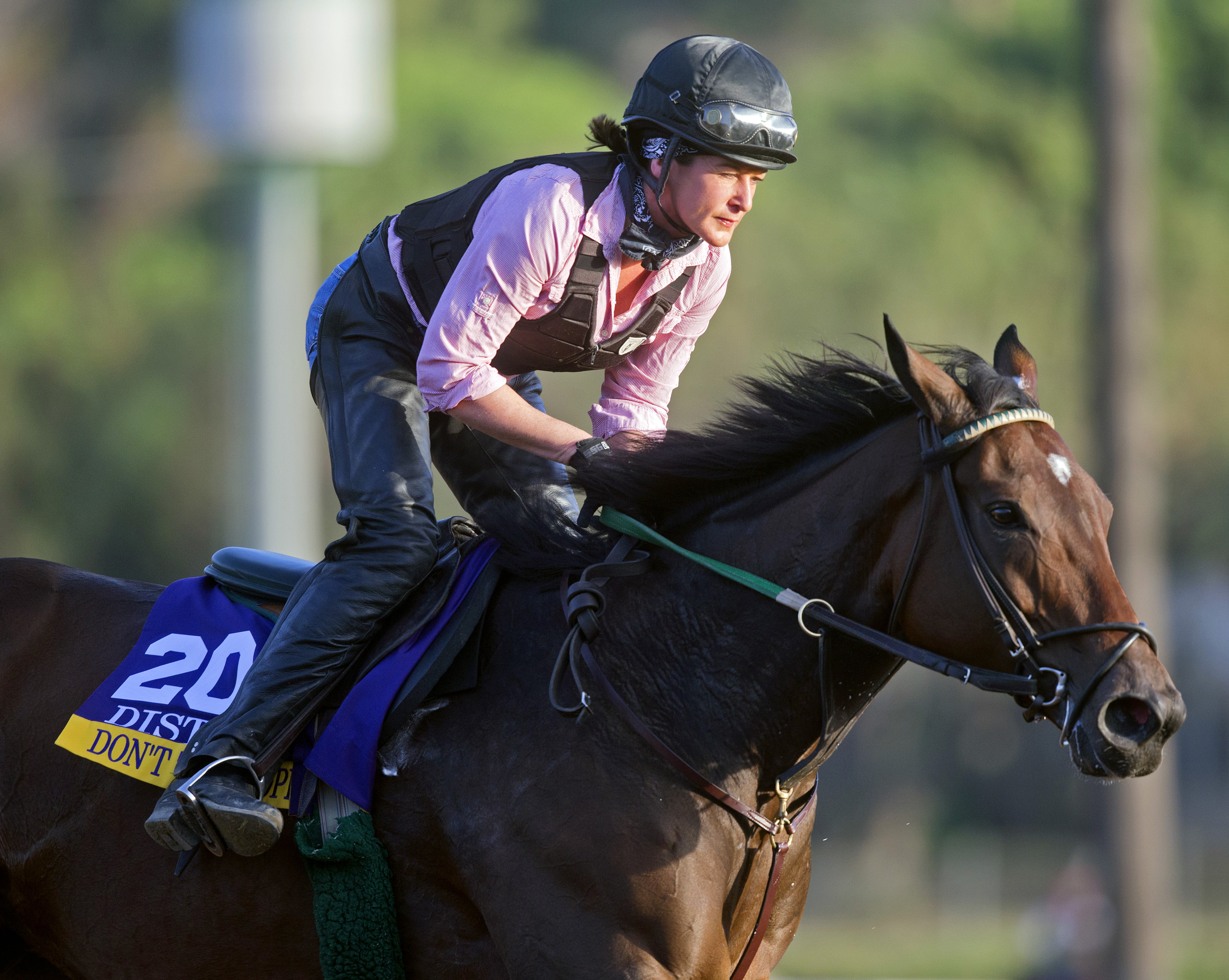 Don't Tell Sophia training at Santa Anita on Oct. 27