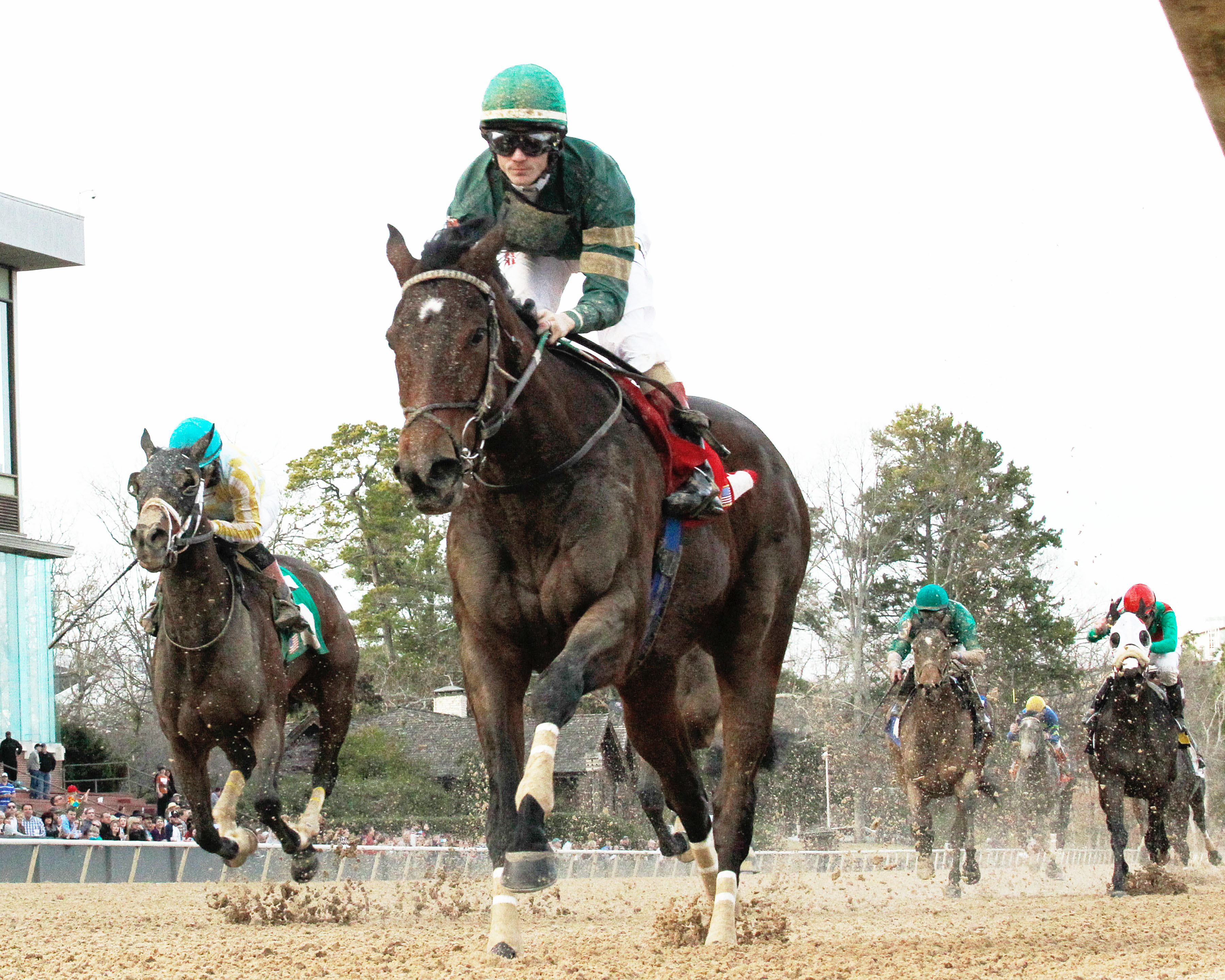 Don't Tell Sophia wins the Bayakoa