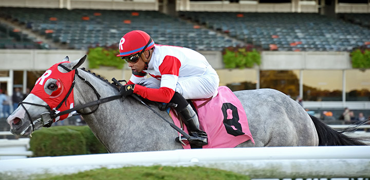 Don Juan Kitten wins an Oct. 5 maiden race at Belmont Park