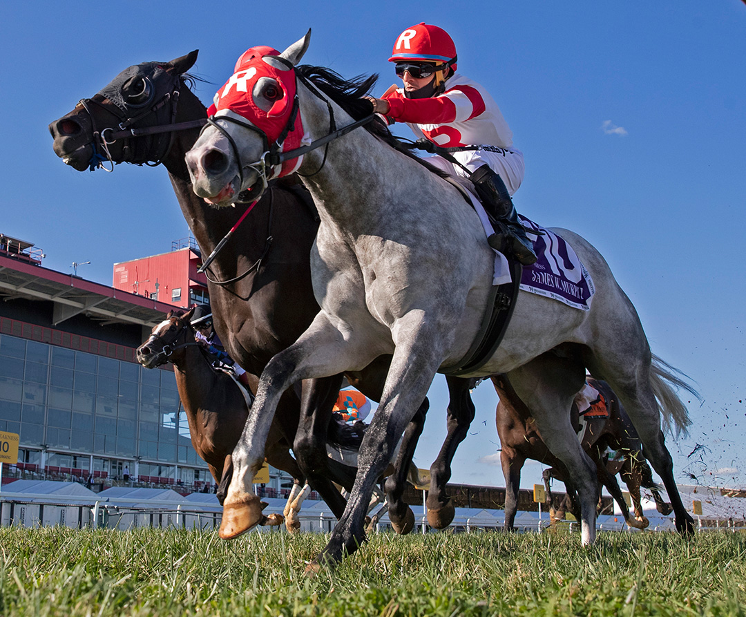Don Juan Kitten (inside) beats Bye Bye Melvin to win the James W. Murphy at Pimlico