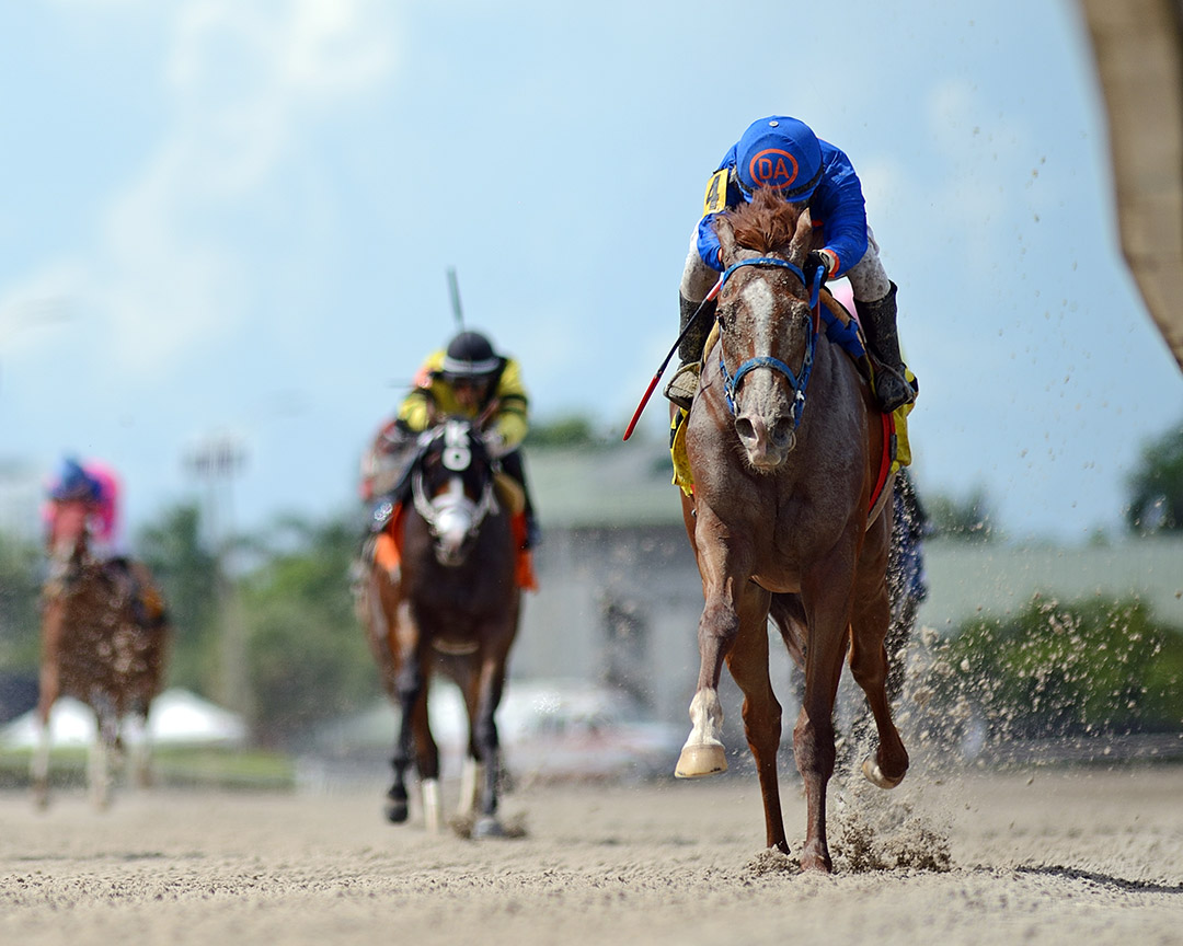 Don't Get Khozy wins a June 20 allowance at Gulfstream Park
