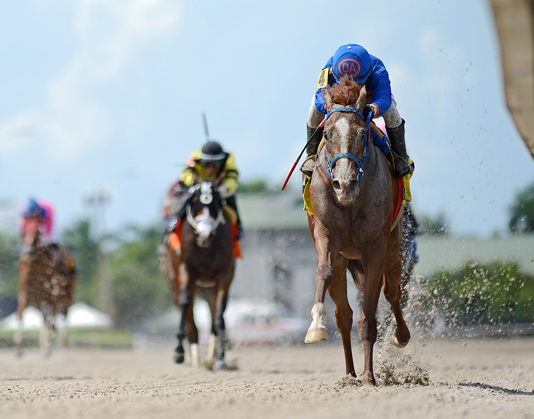 Don't Get Khozy wins a Feb. 21 optional claiming race at Gulfstream