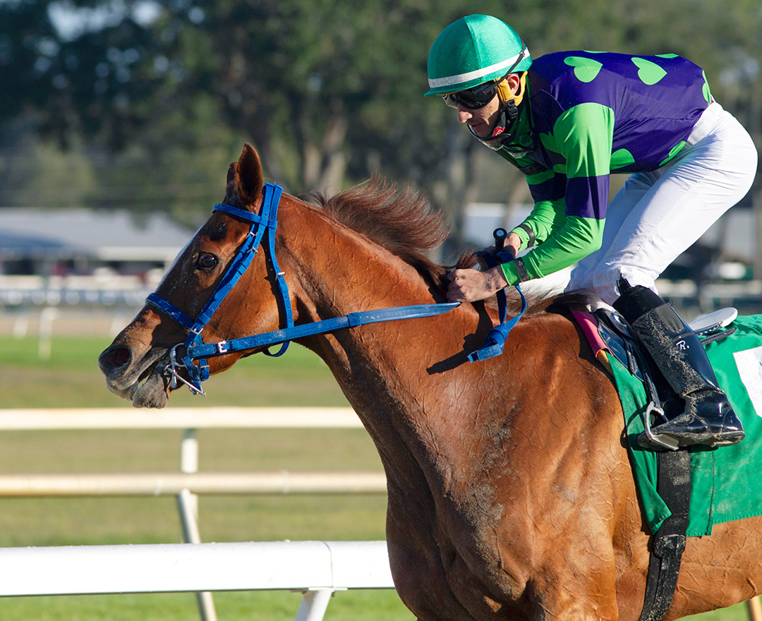 Don't Get Khozy at the 2022 Wayward Lass Stakes at Tampa Bay Downs