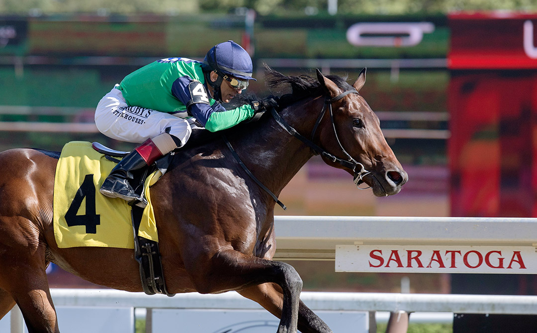 Don't Wait Up wins a Sept. 6 maiden race at Saratoga