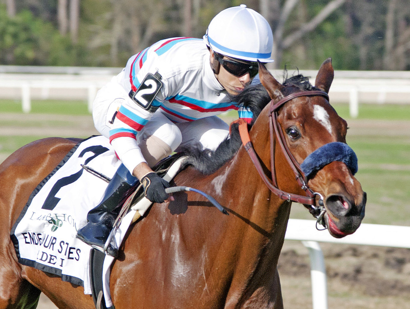 Dona Bruja wins 2018 Endeavour Stakes
